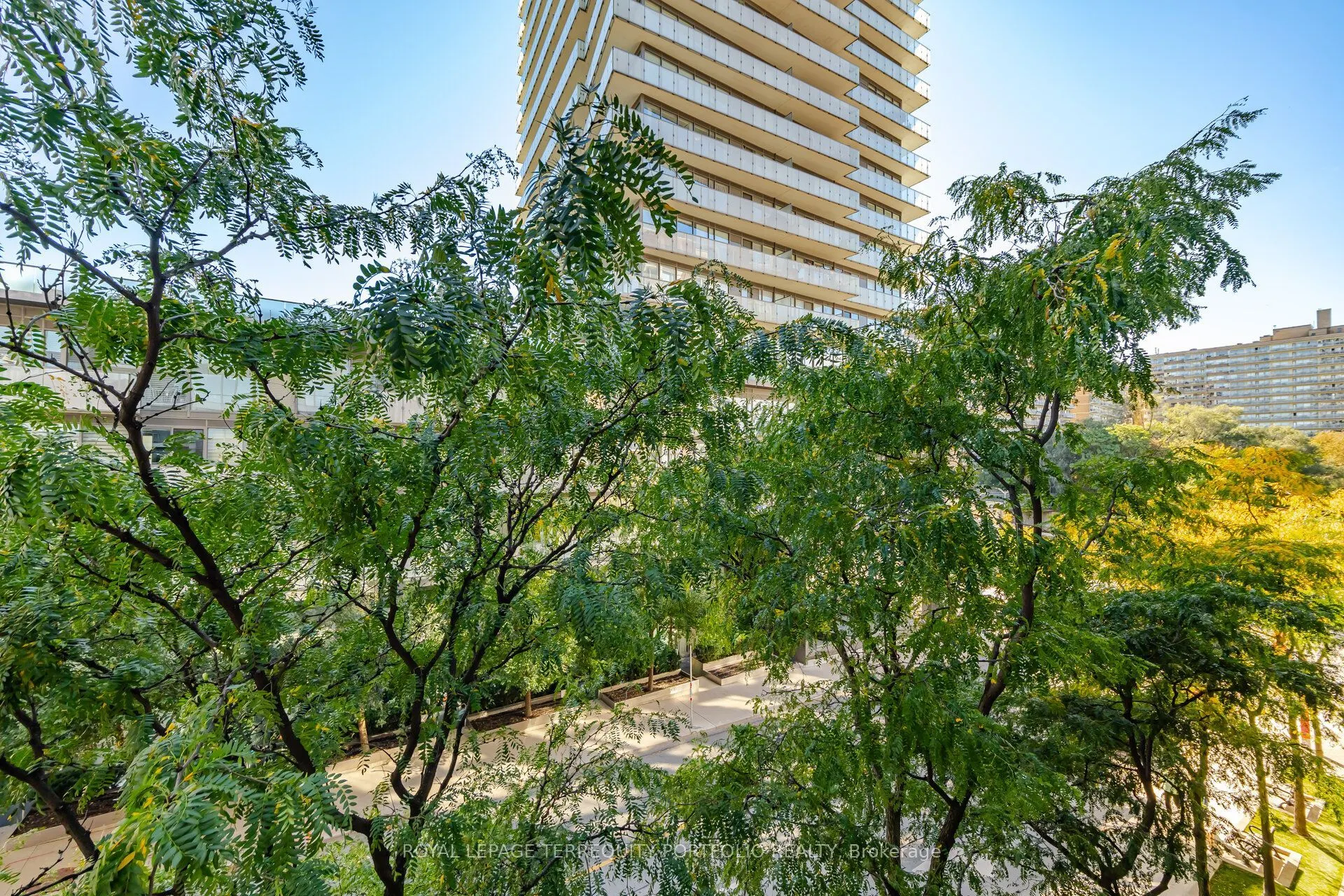 18 Merton Street #303