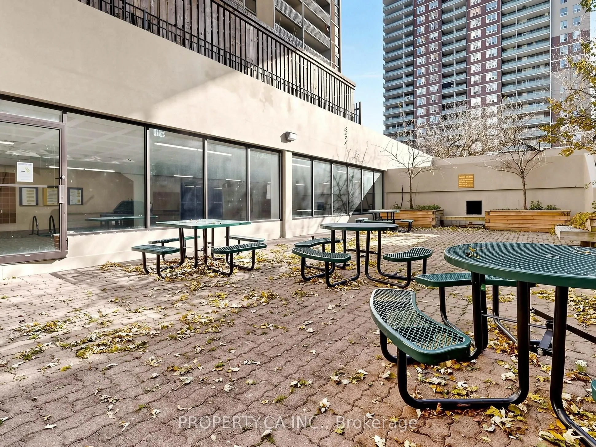 40 Homewood Avenue #316