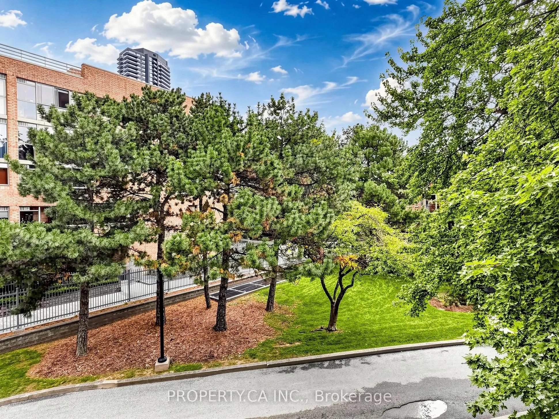 40 Homewood Avenue #316