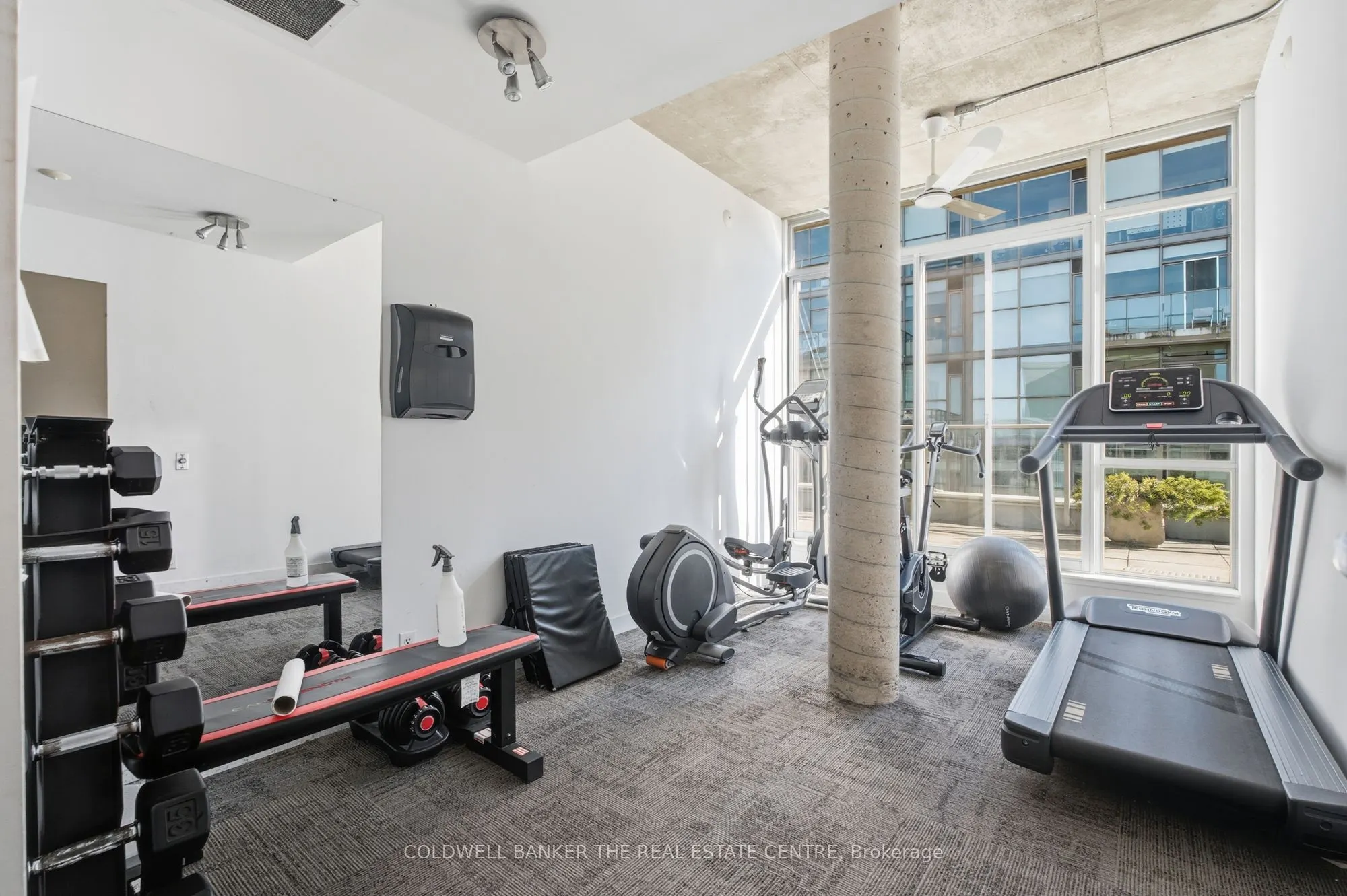 36 Charlotte Street #501