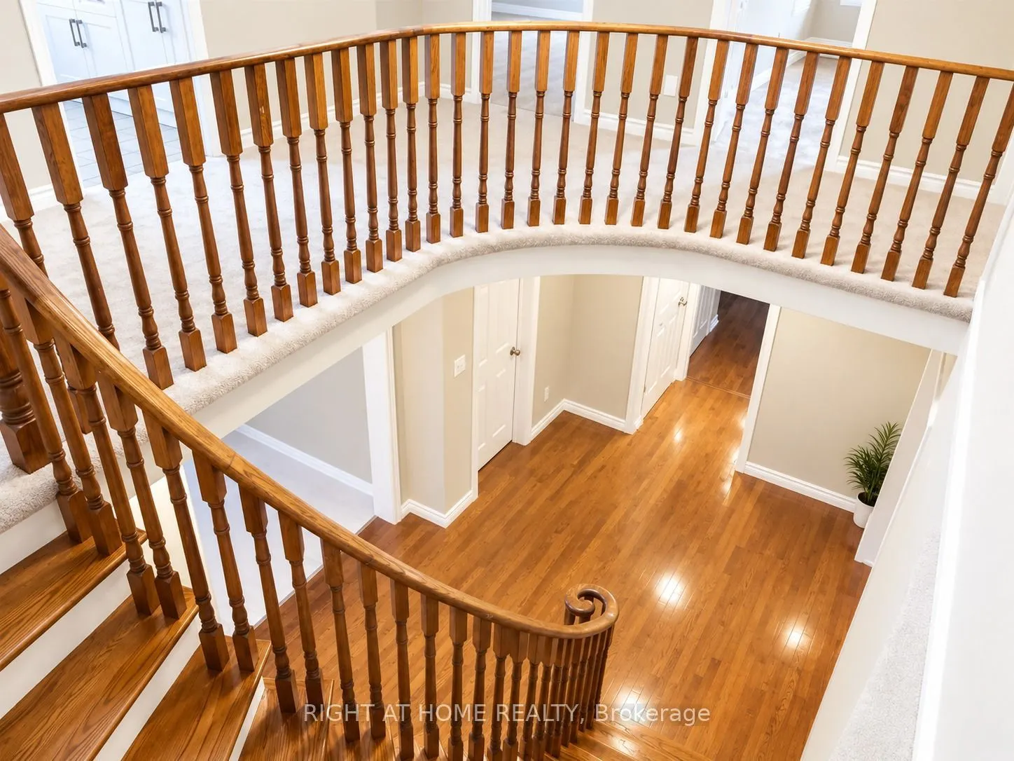 144 Almore Avenue #Main