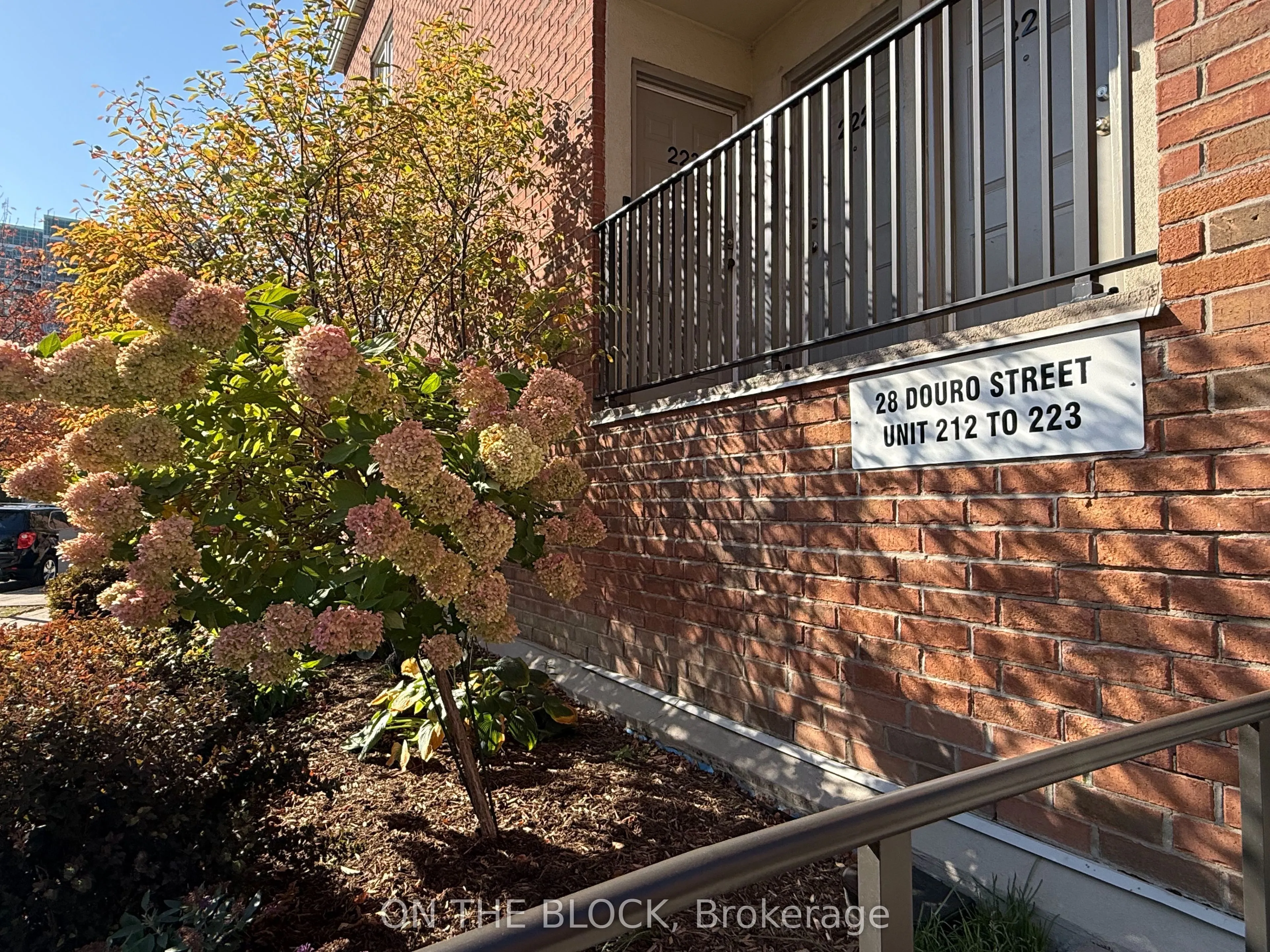 28 Douro Street #223