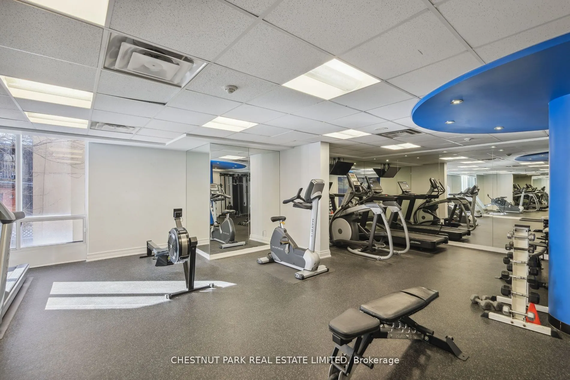 85 Bloor Street E #1014