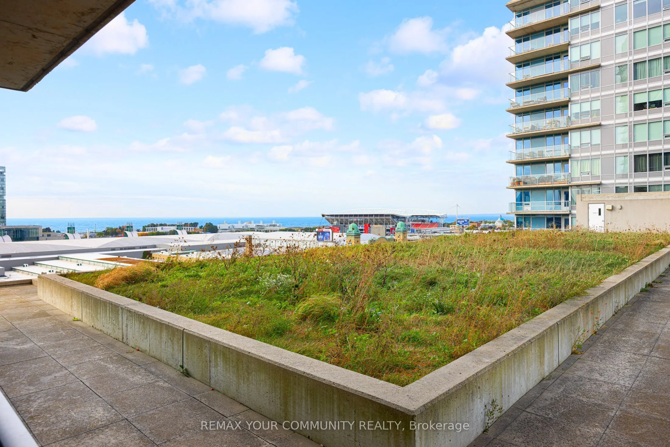 55 East Liberty Street #1109