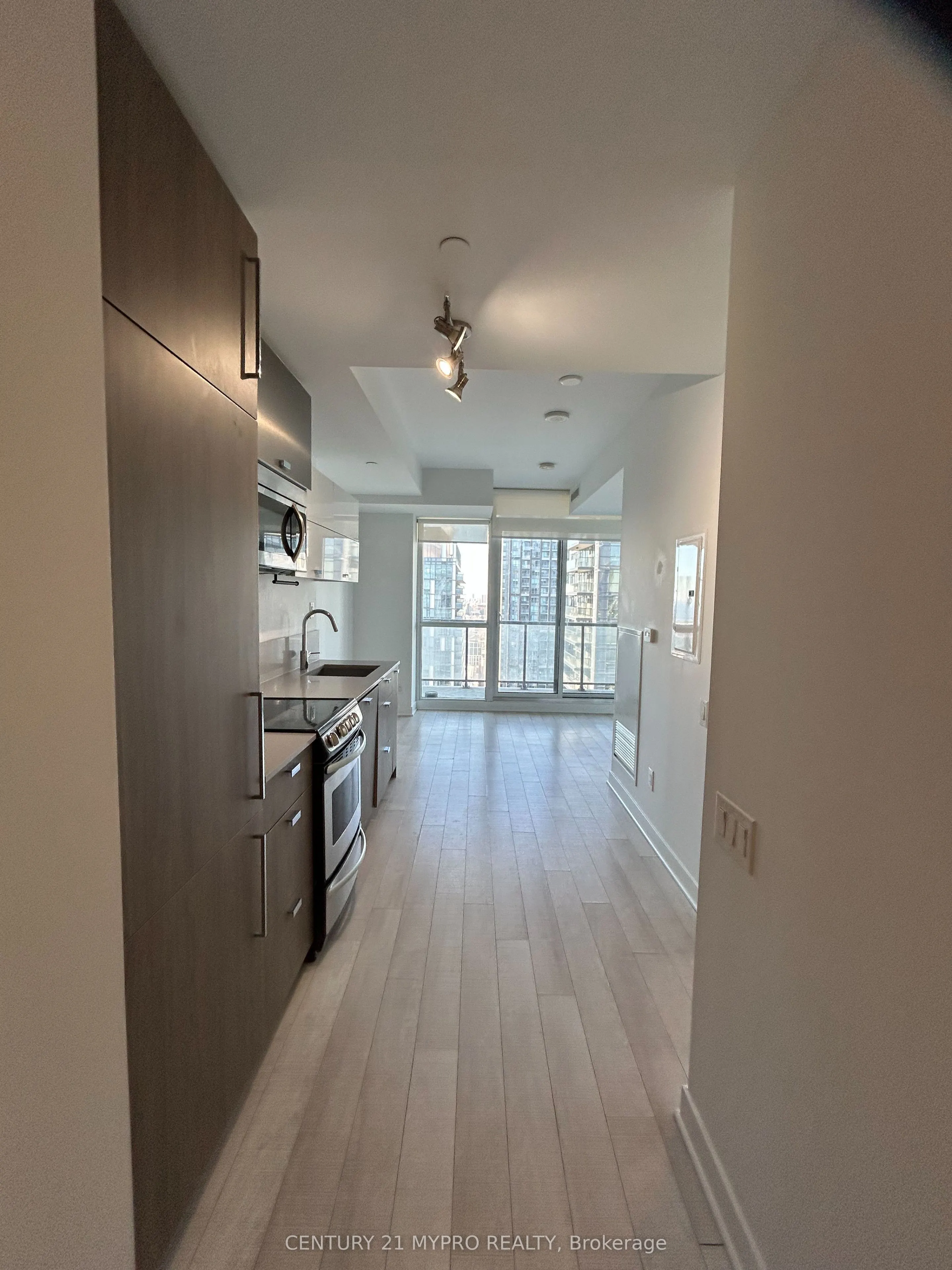290 Adelaide Street W #3902