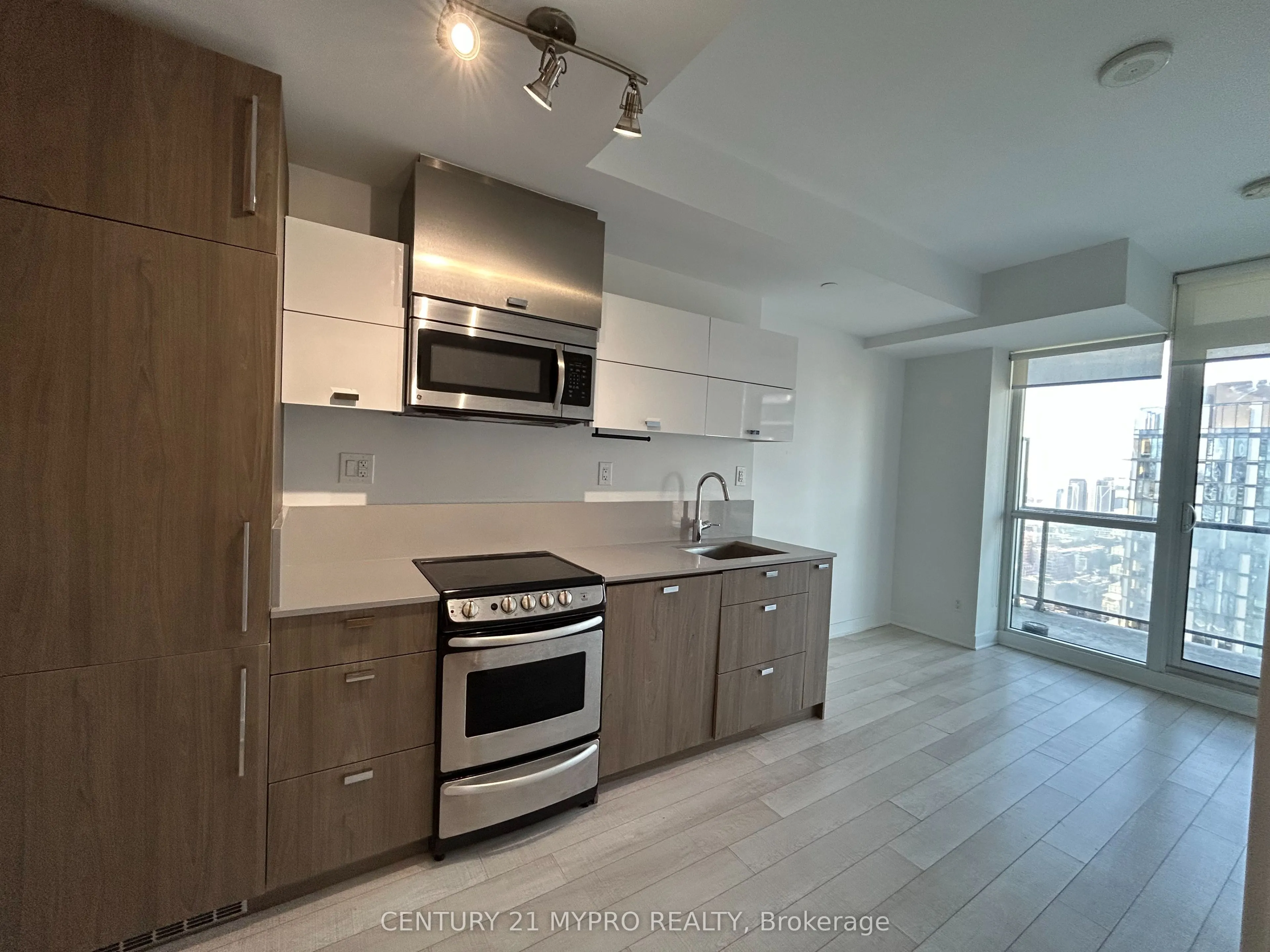 290 Adelaide Street W #3902
