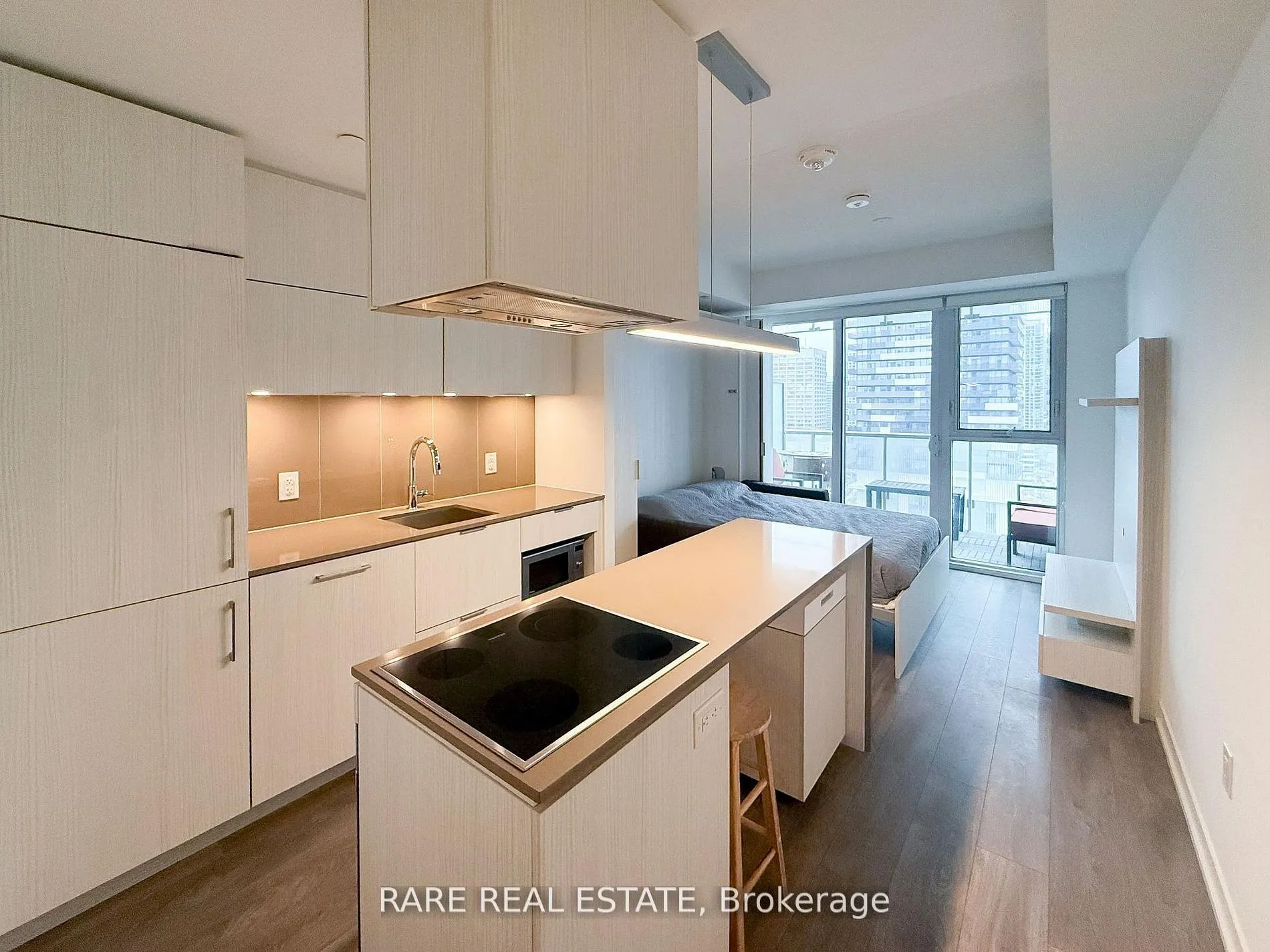 15 Lower Jarvis Street #1509