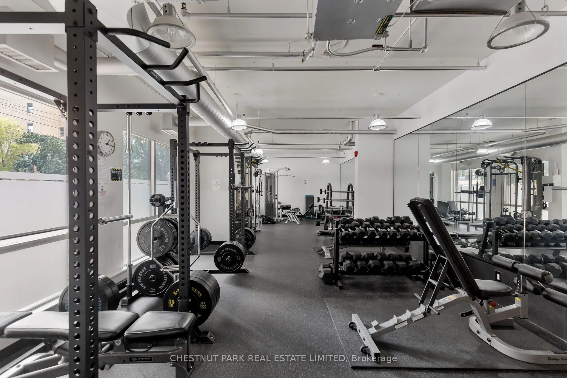 800 King Street W #611