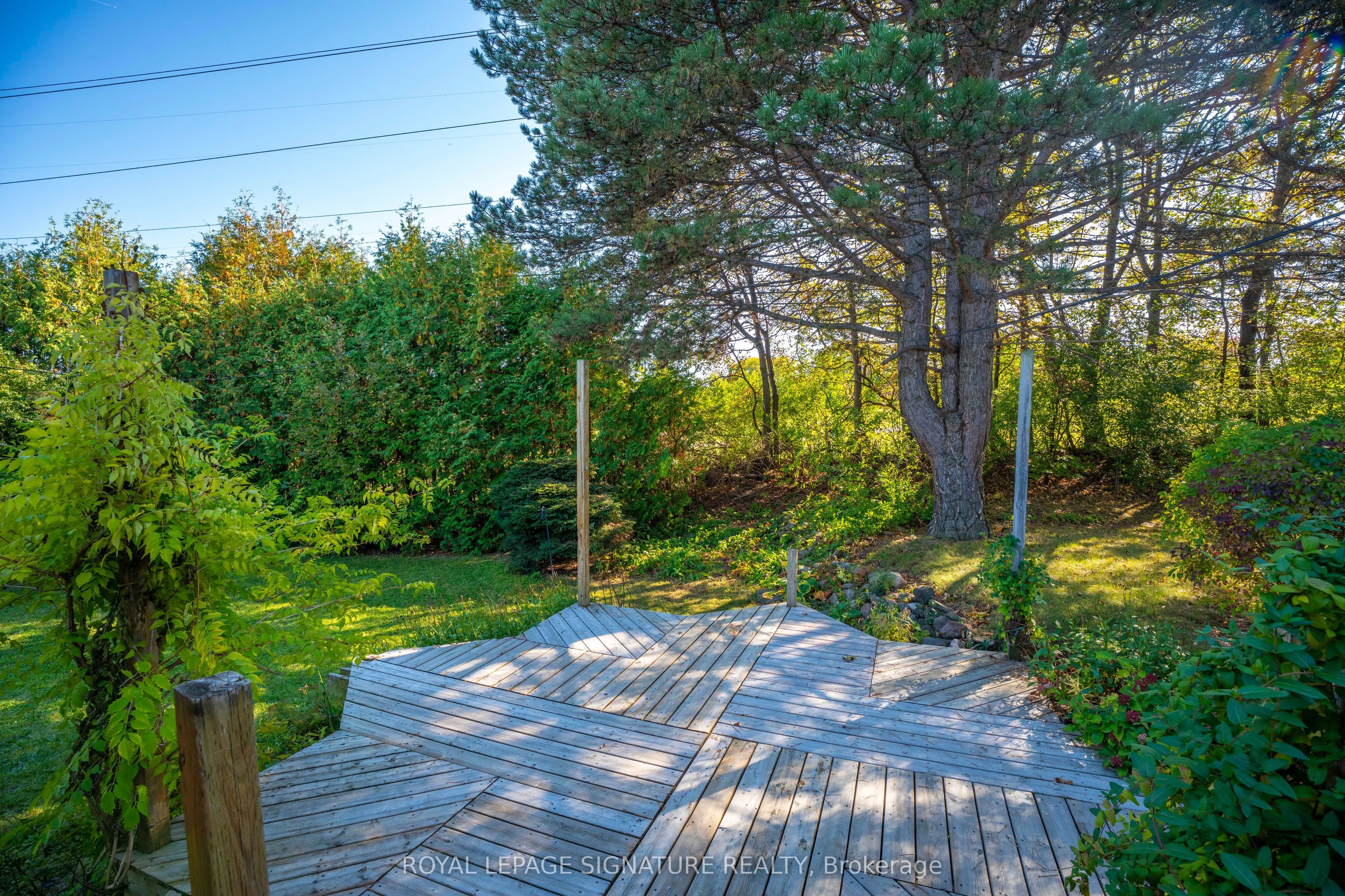 49 Snowcrest Avenue