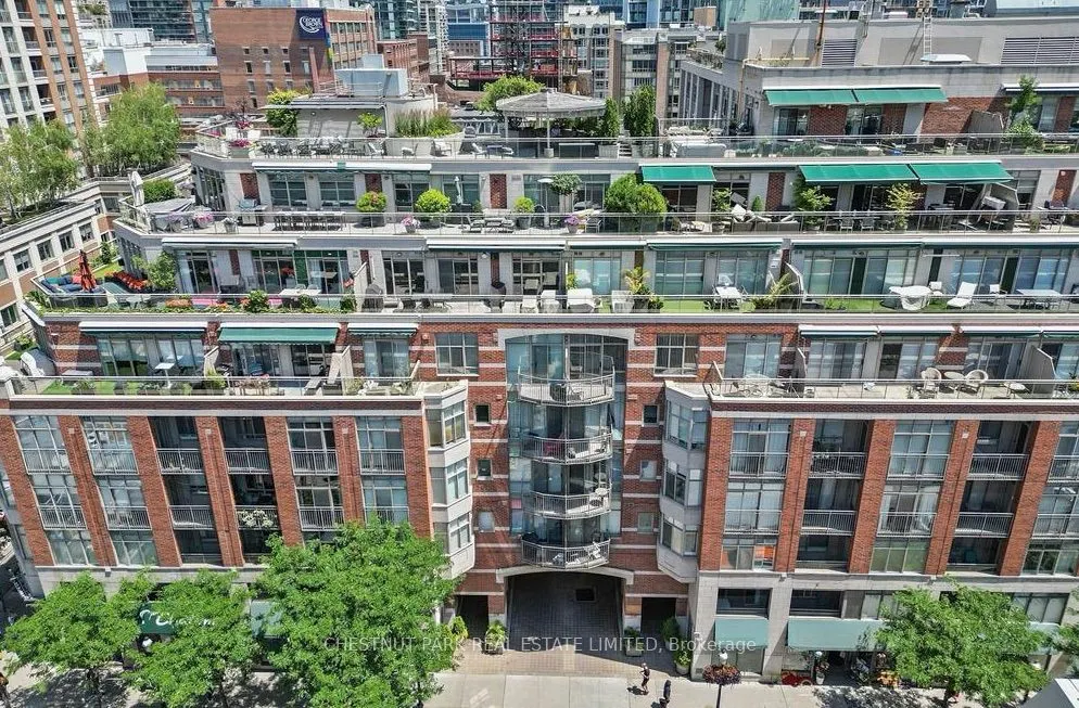 39 Jarvis St Street #307