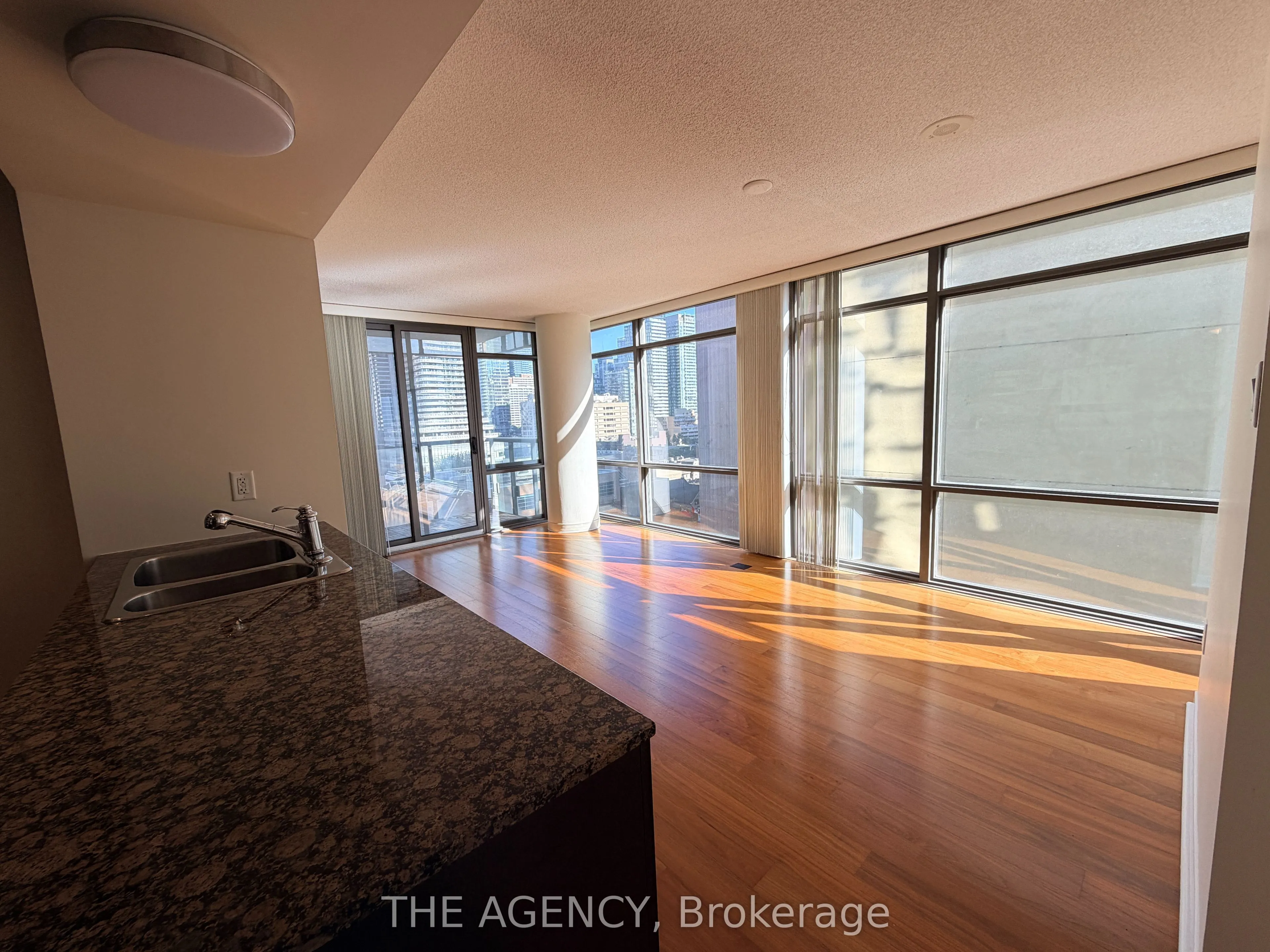 38 Grenville Street #1008