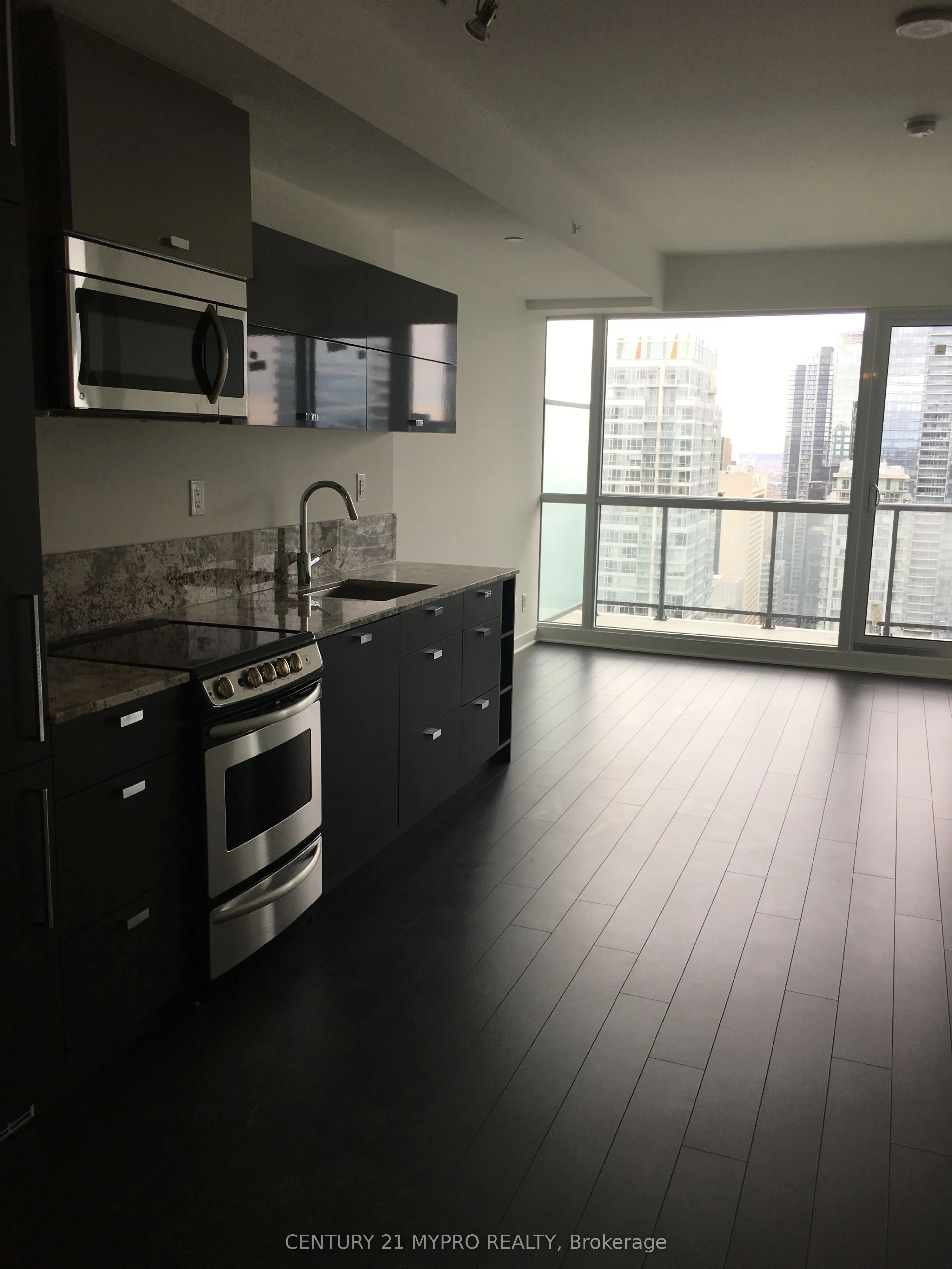 290 Adelaide Street W #3706