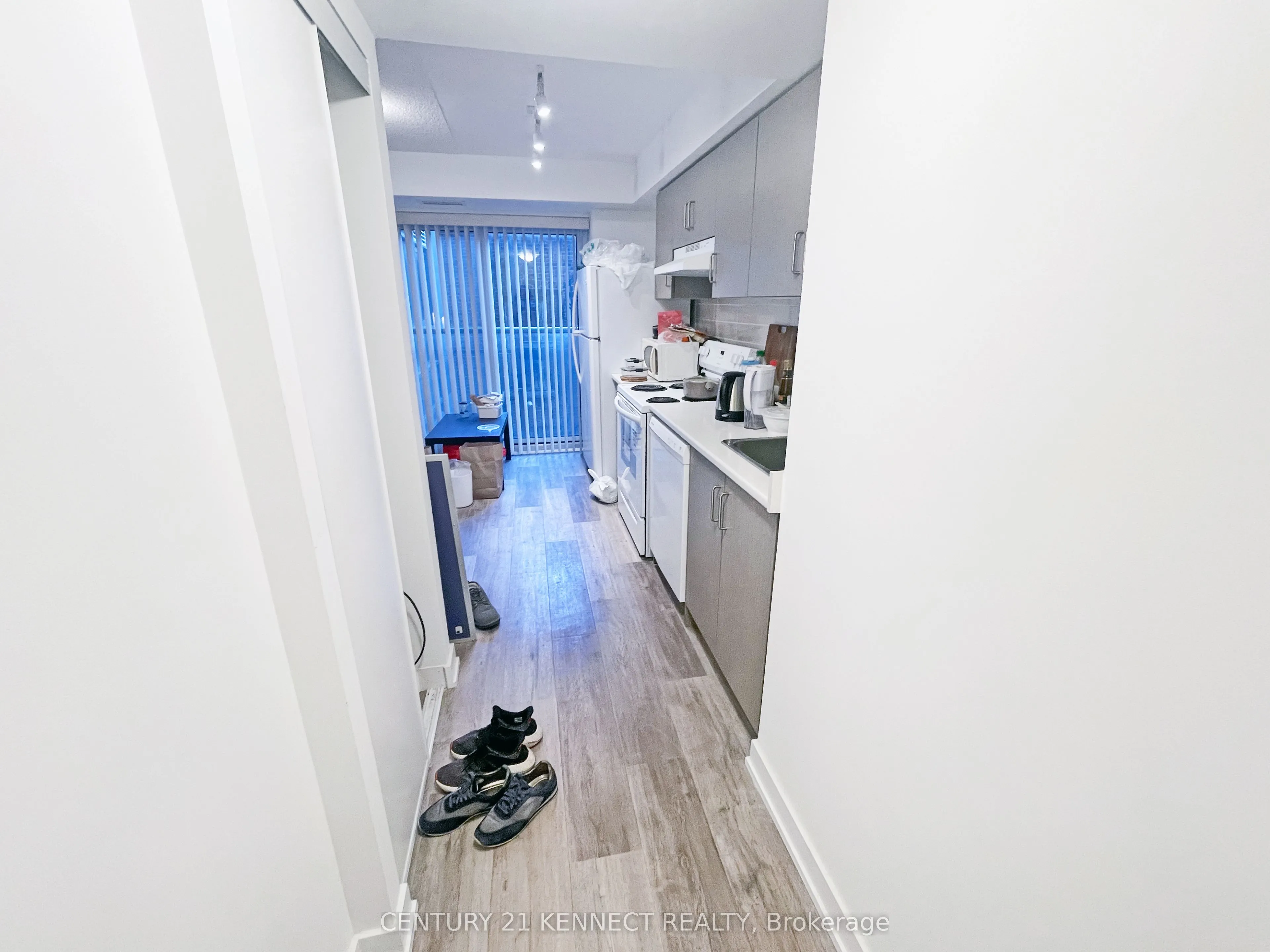231 College Street #502R