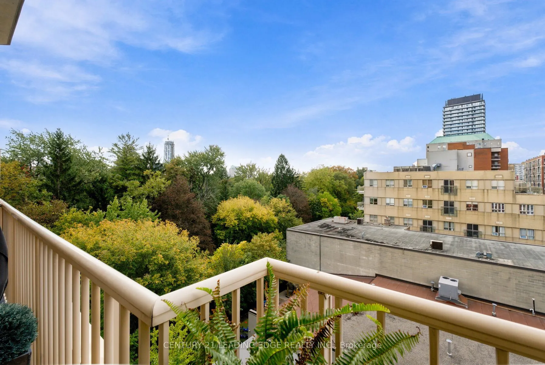 119 Merton Street #612