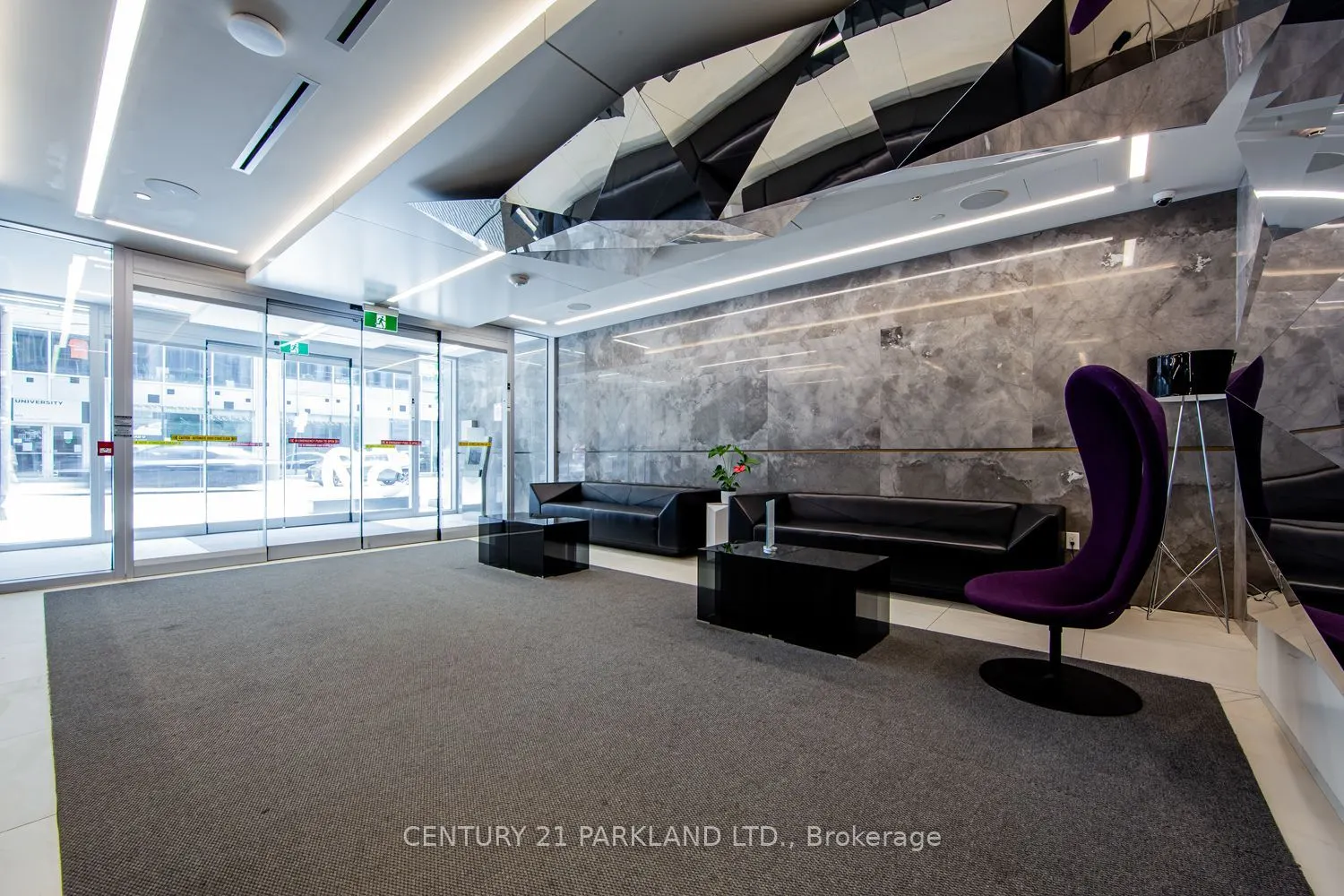 50 McCaul Street #607