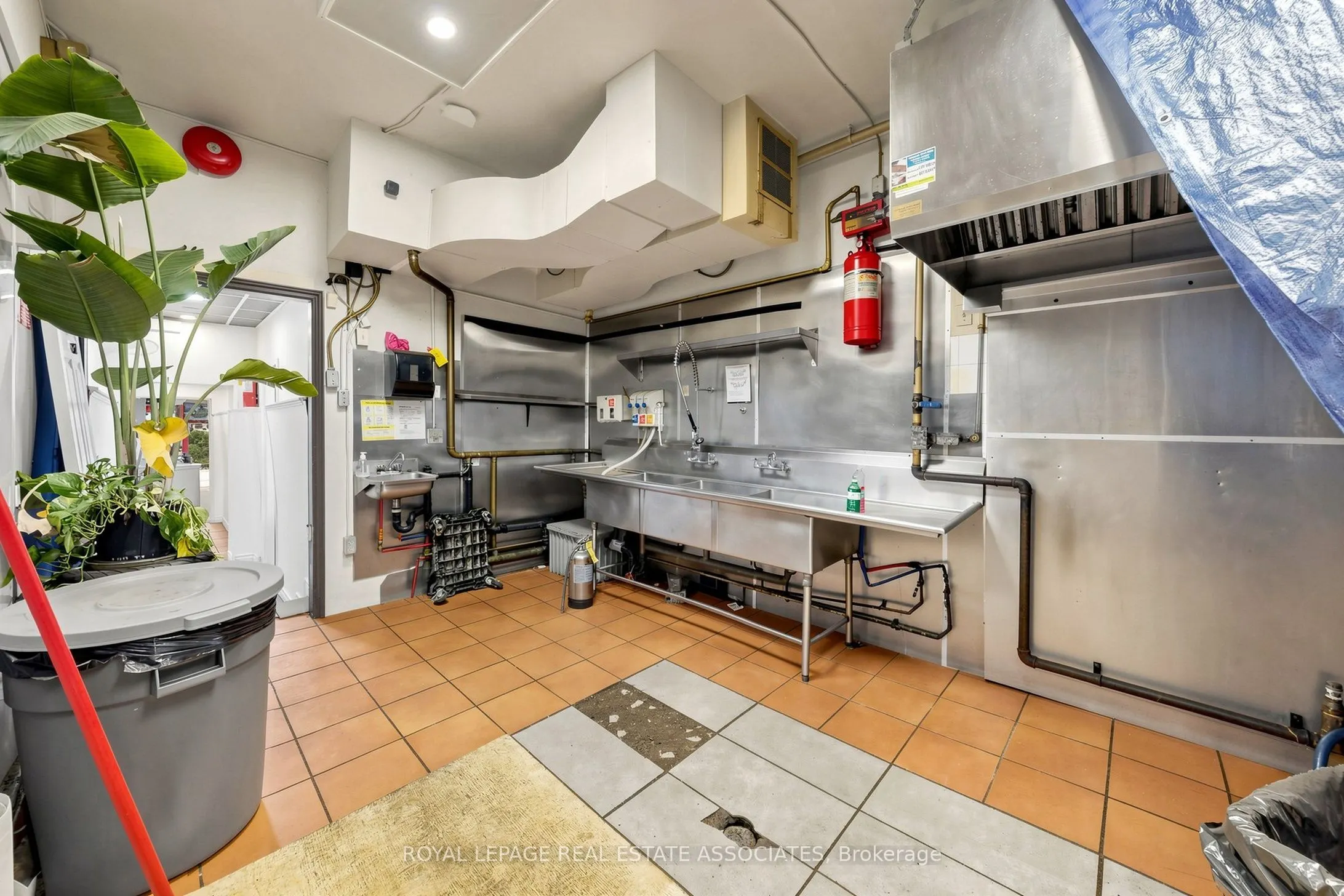 592 Queen Street W #Rear