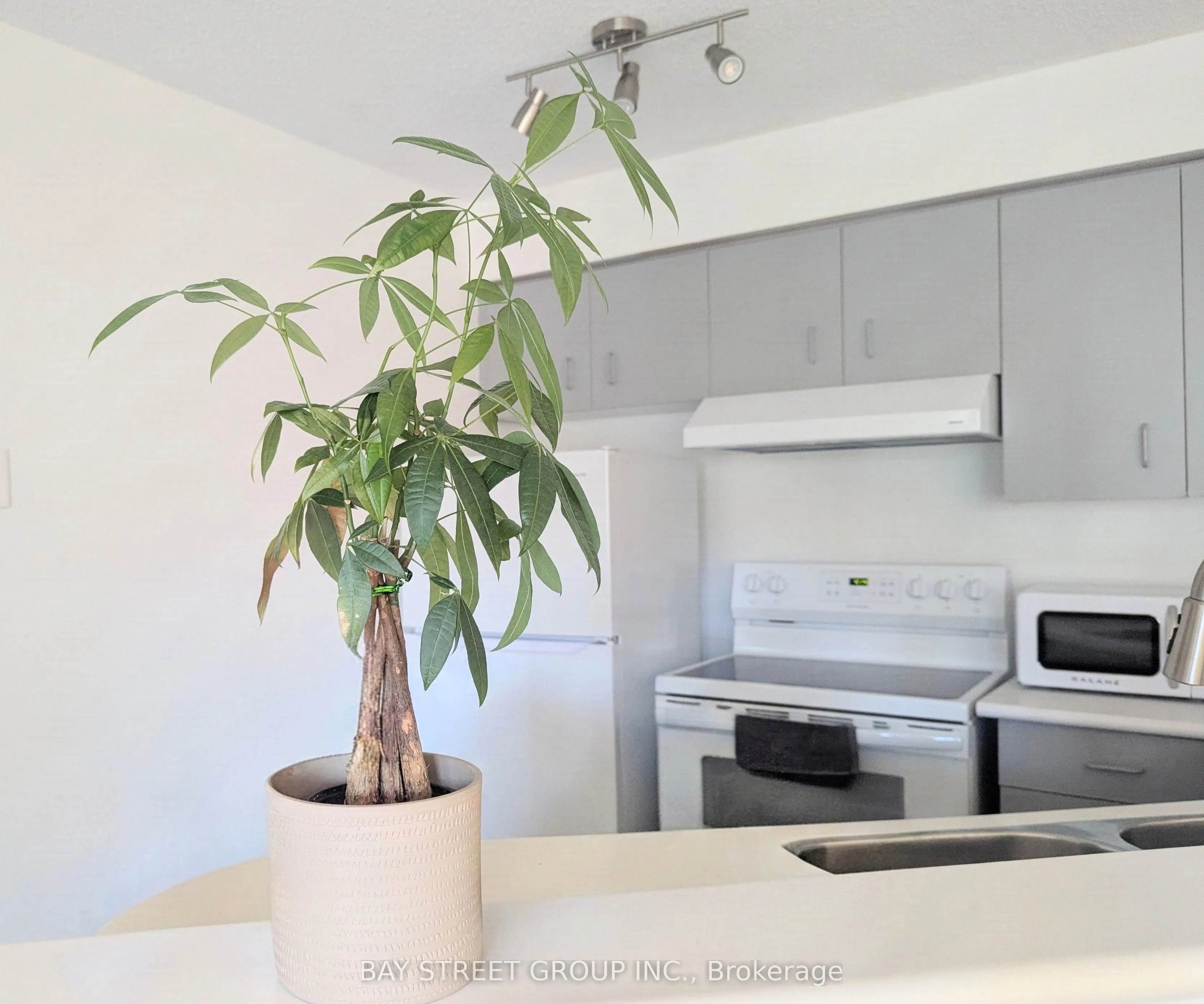 25 Grenville Street #1106