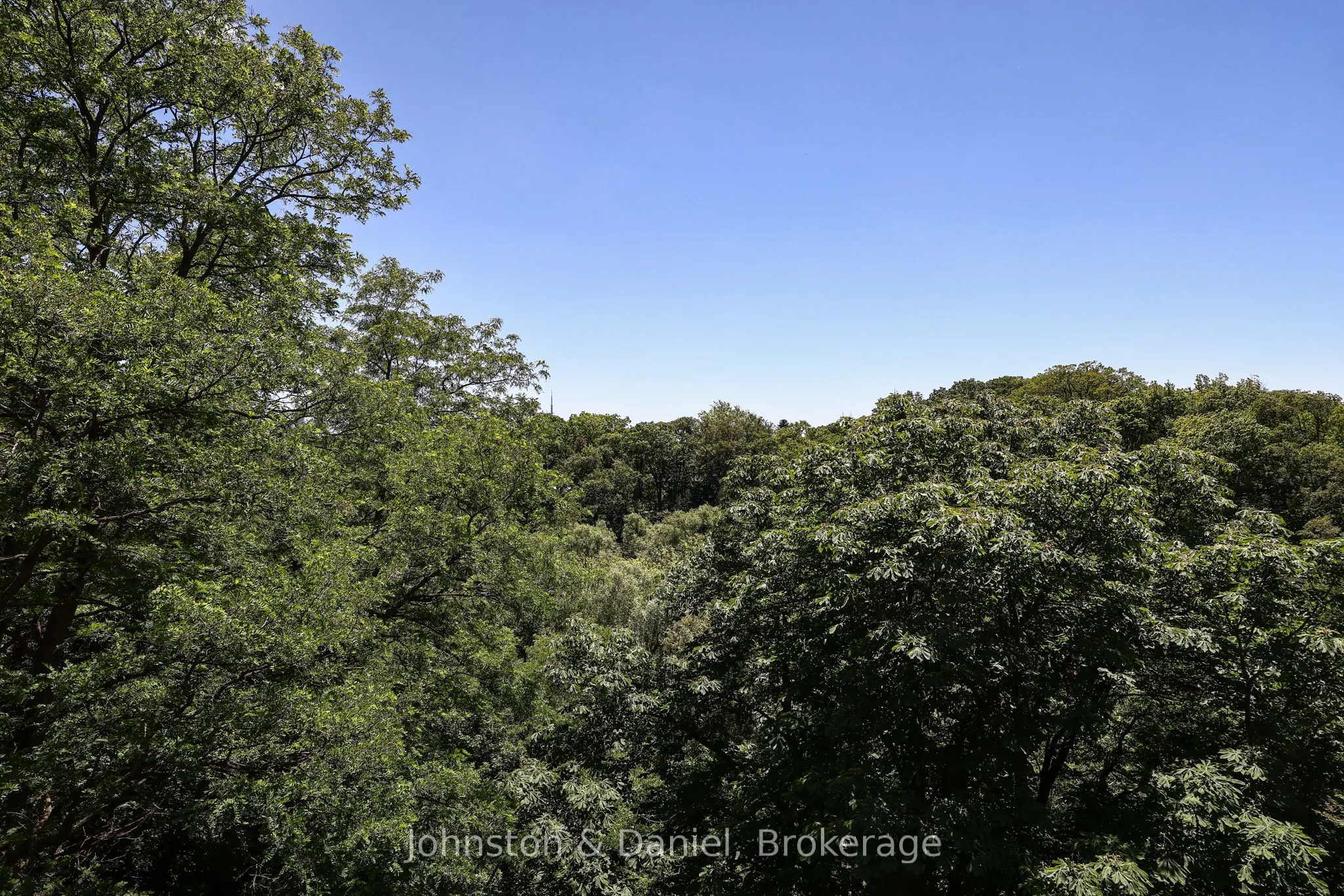407 Walmer Road #401