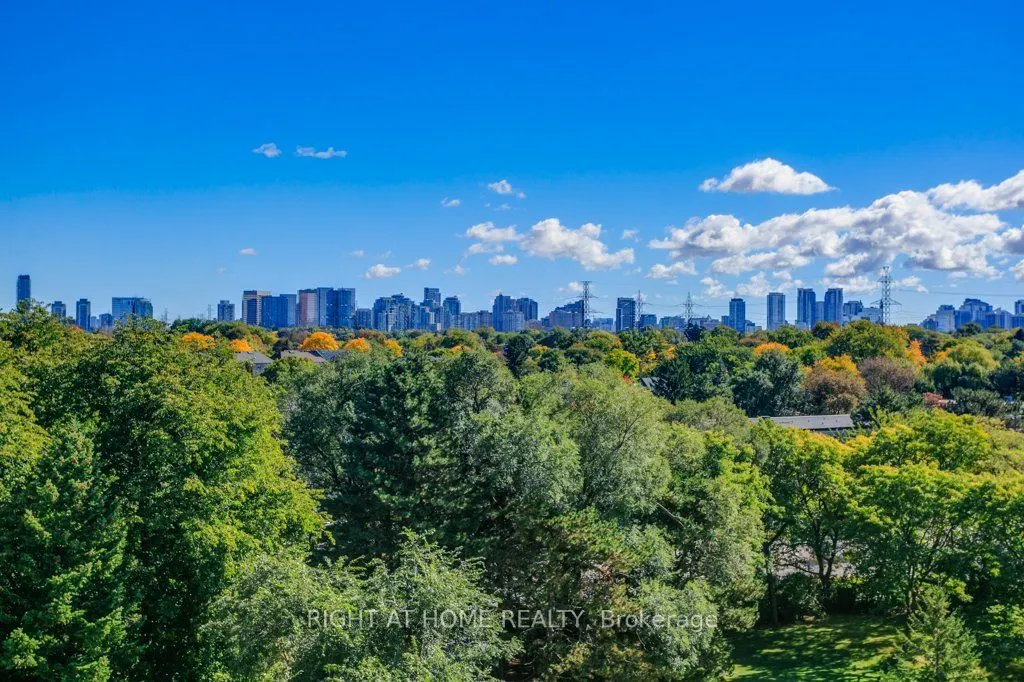115 Antibes Drive #803