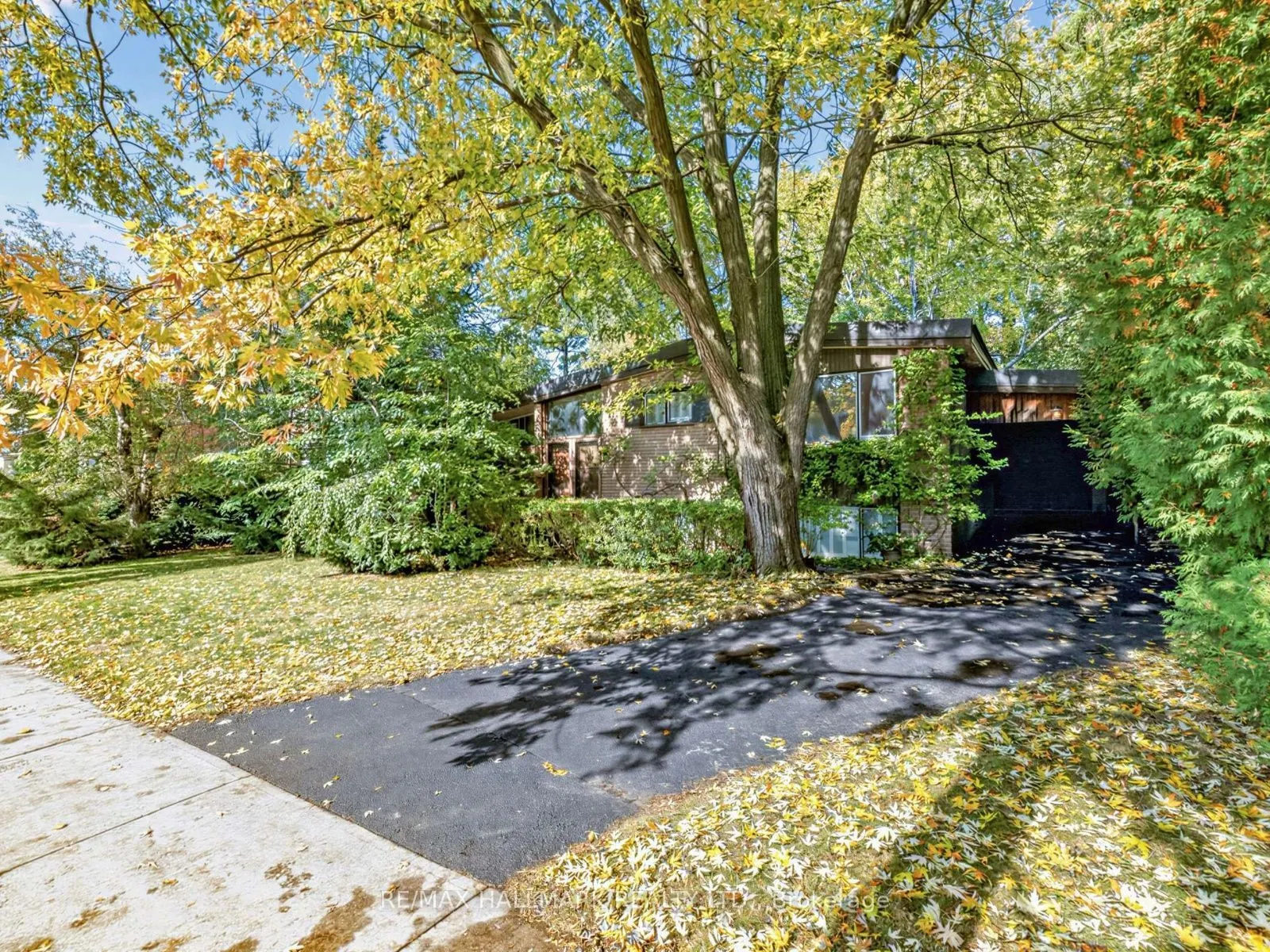 91 Larkfield Drive