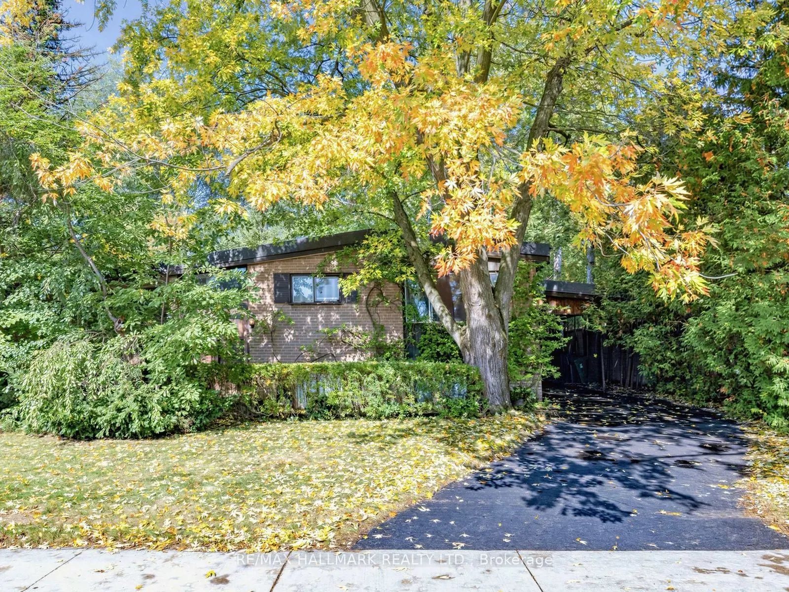 91 Larkfield Drive