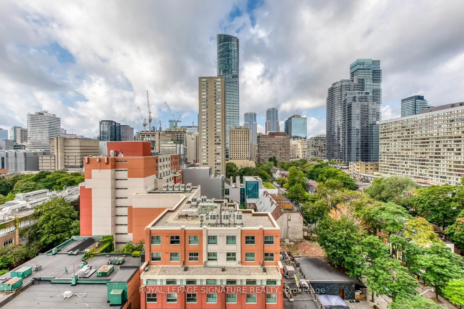 89 McGill Street #1011