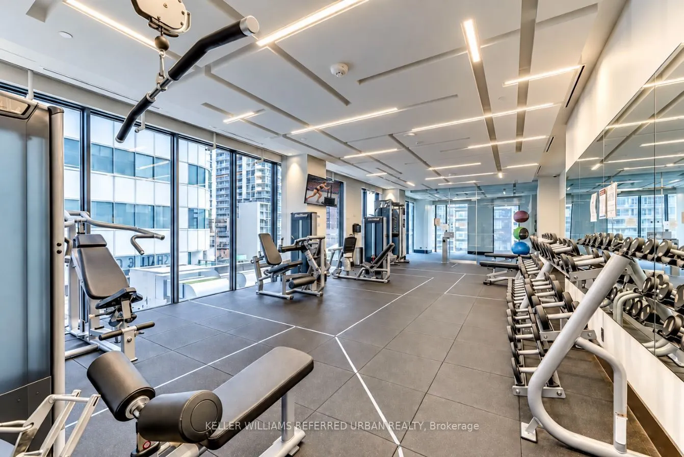 87 Peter Street #2103