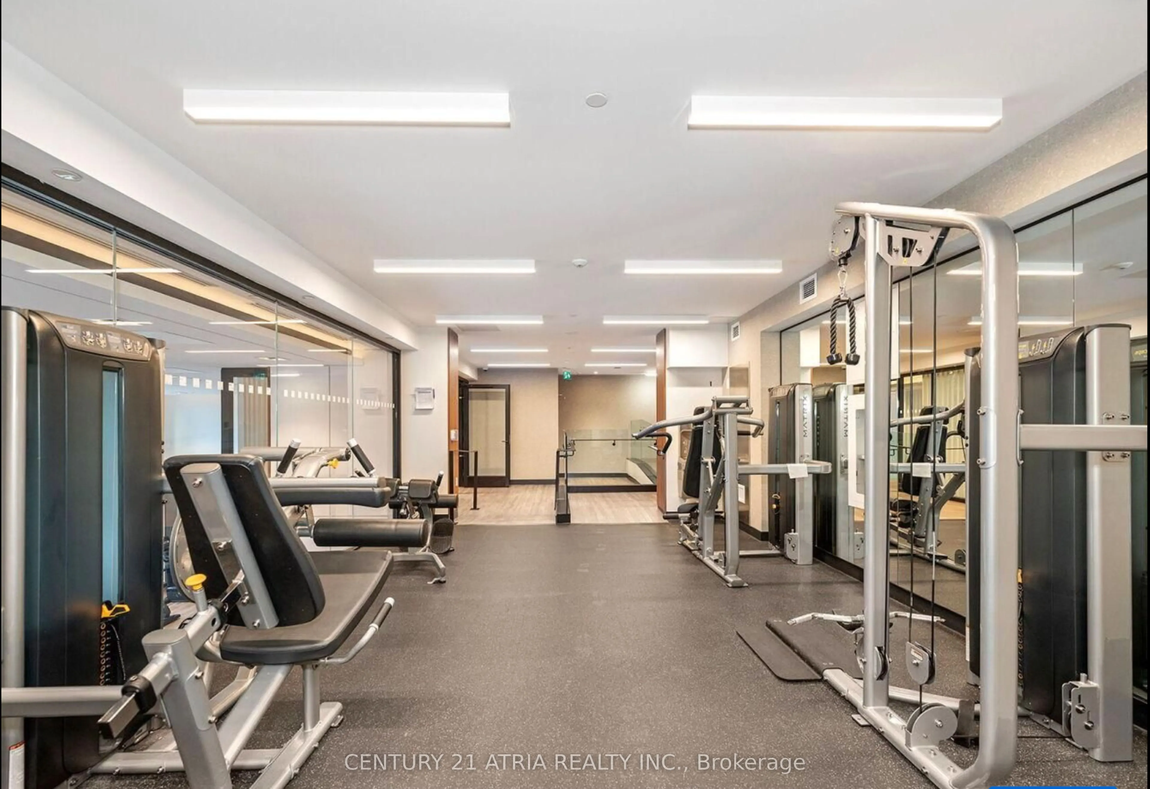 8 Olympic Garden Drive #906