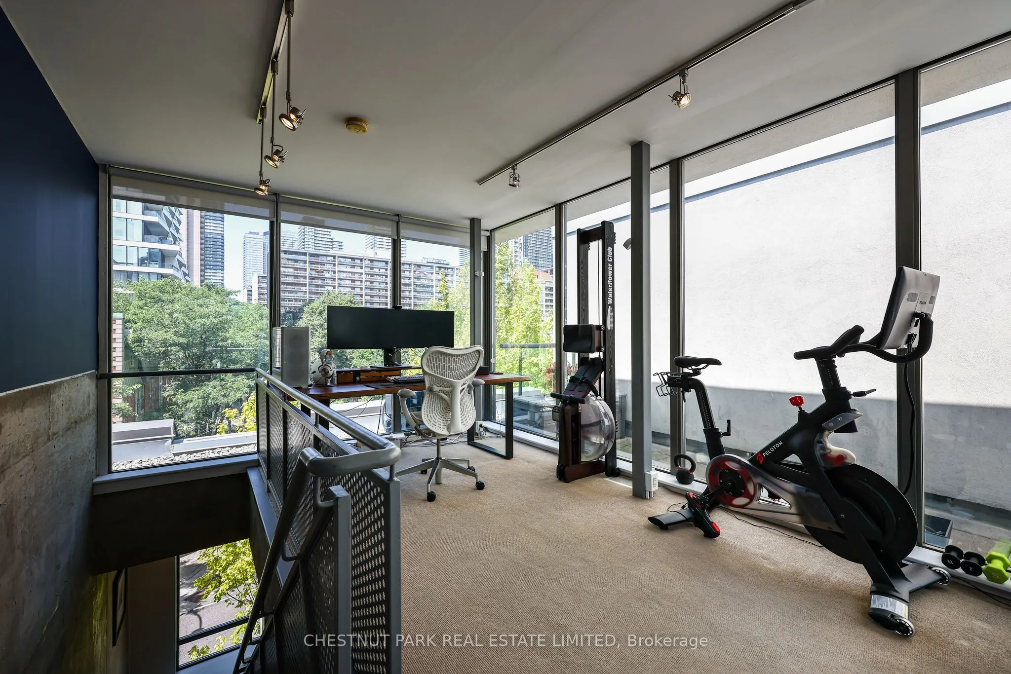271 Mutual Street #6