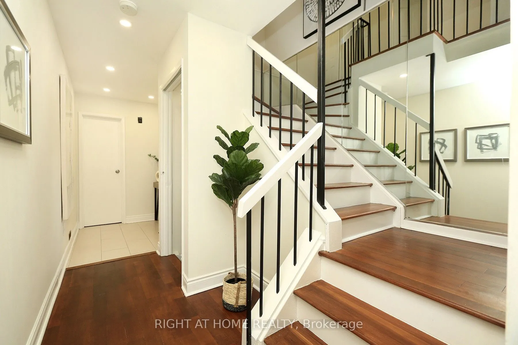 6 Snapdragon Drive