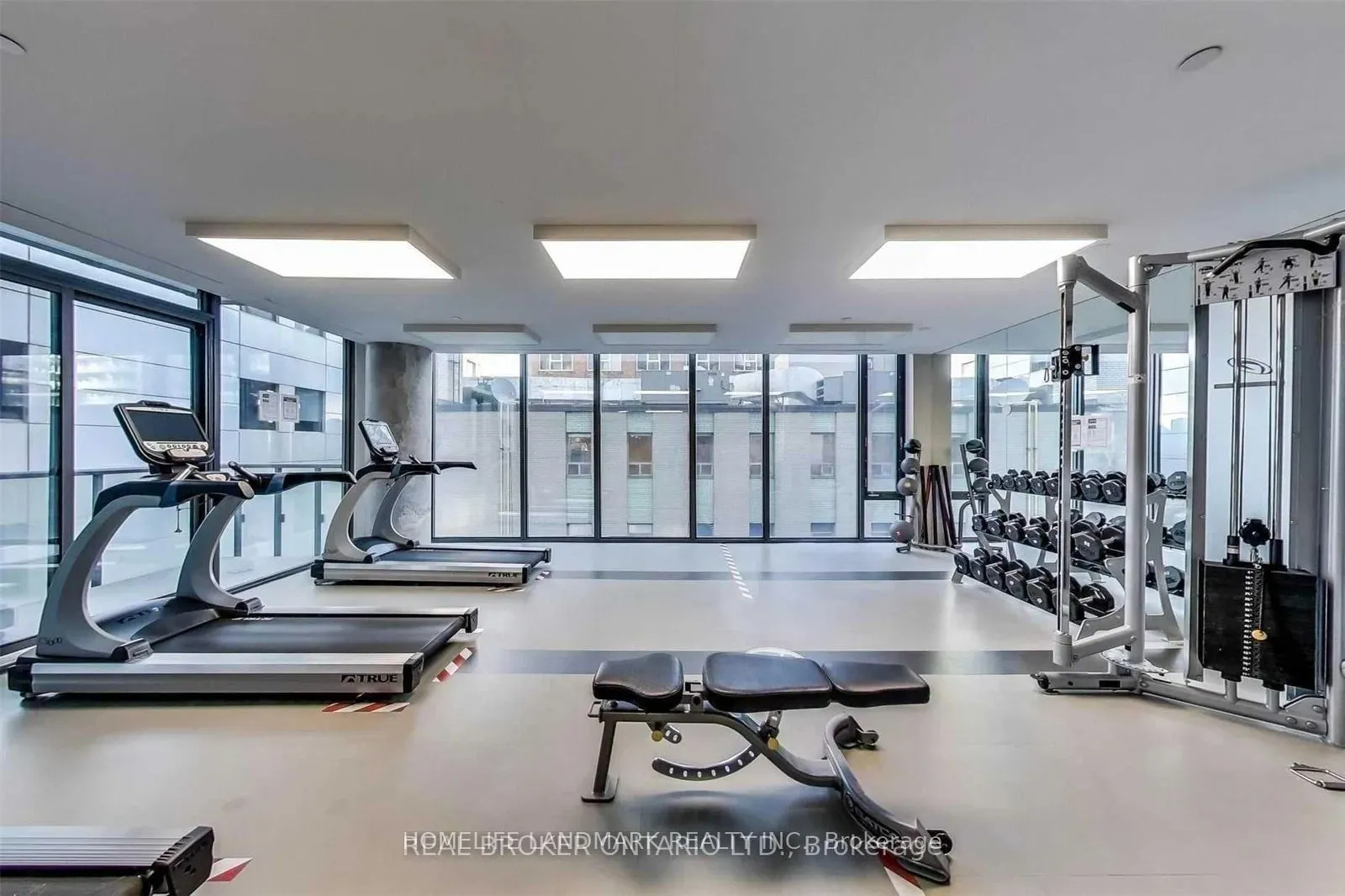 101 Peter Street #2910