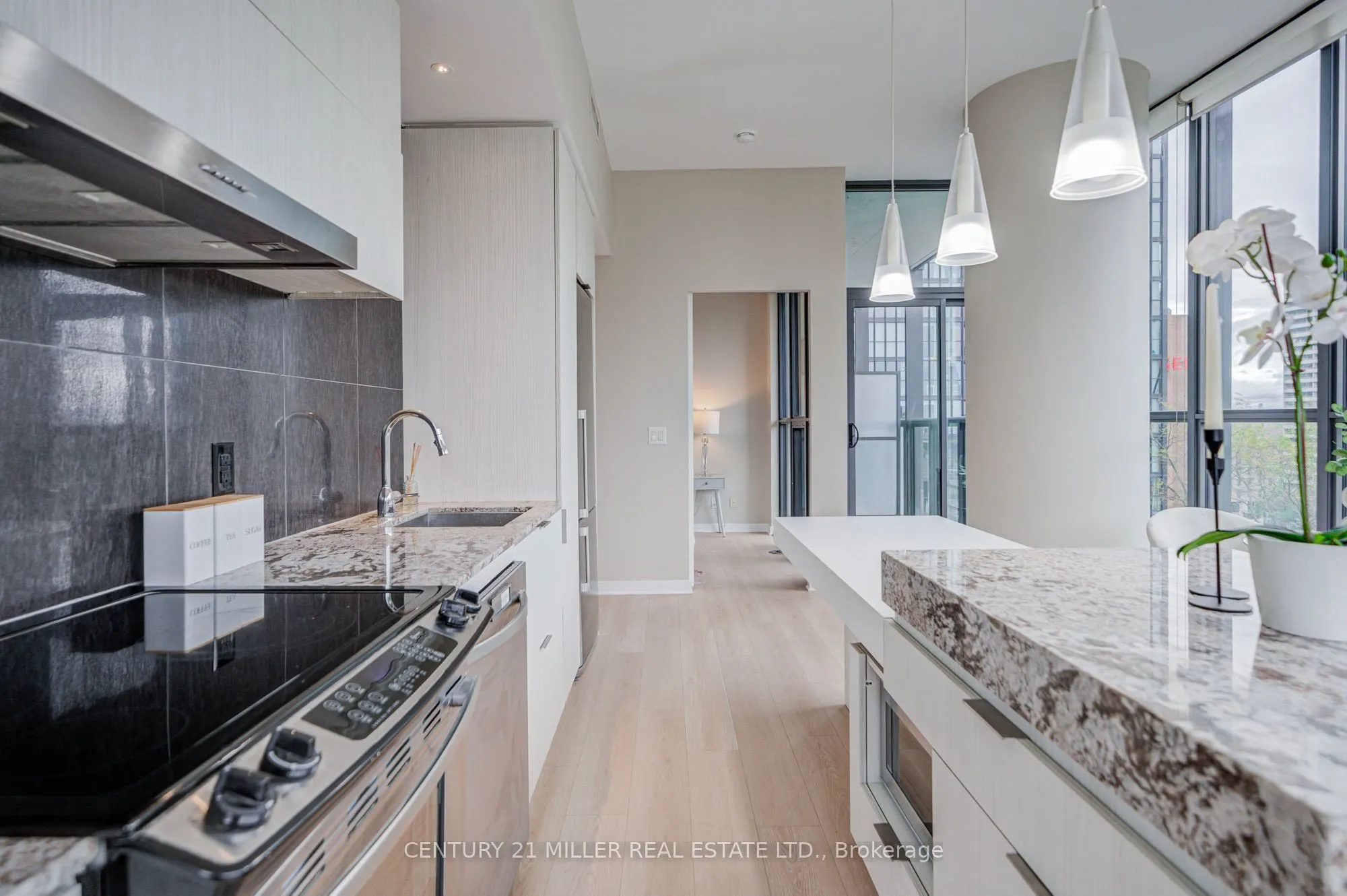 101 Charles Street E #1001