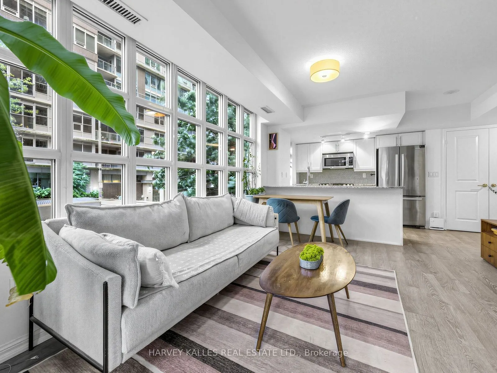 65 East Liberty Street #224