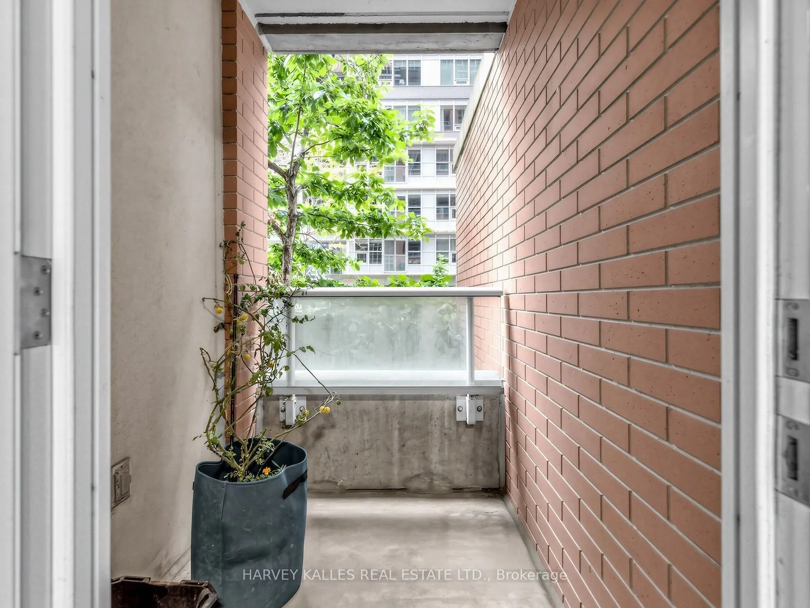65 East Liberty Street #224
