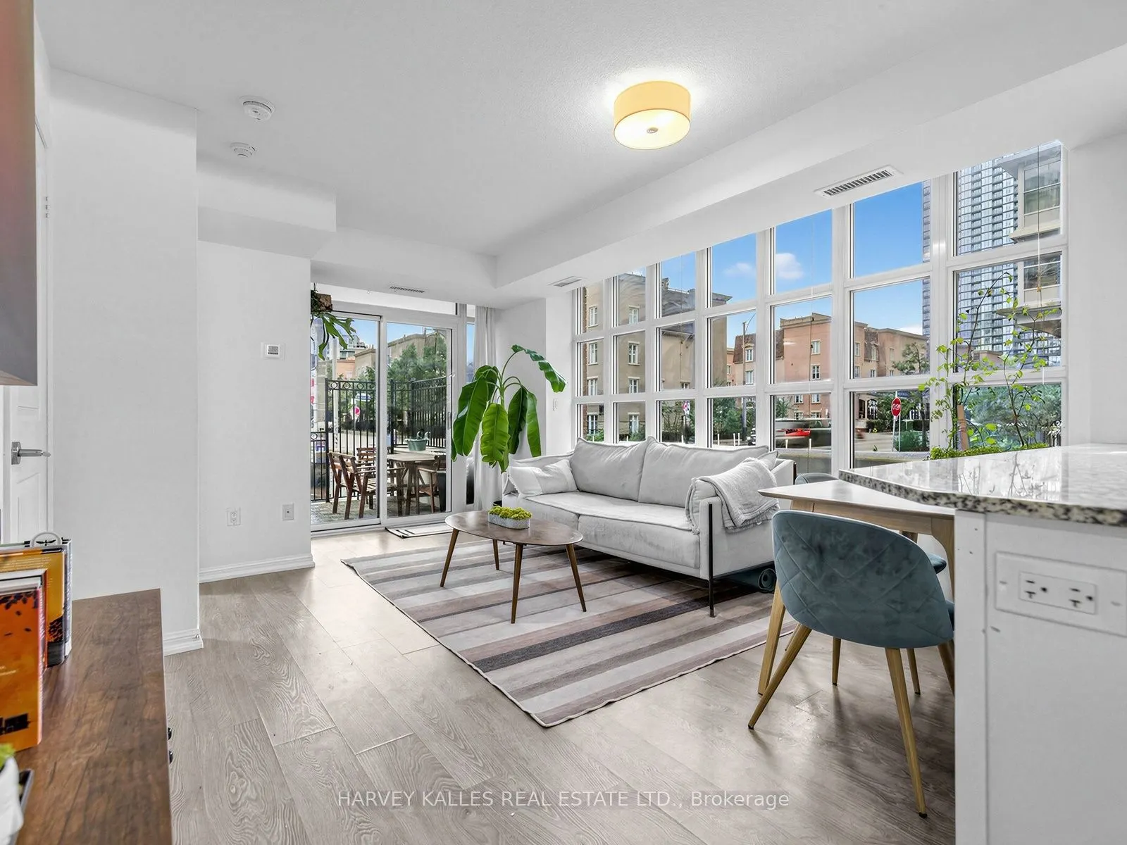 65 East Liberty Street #224