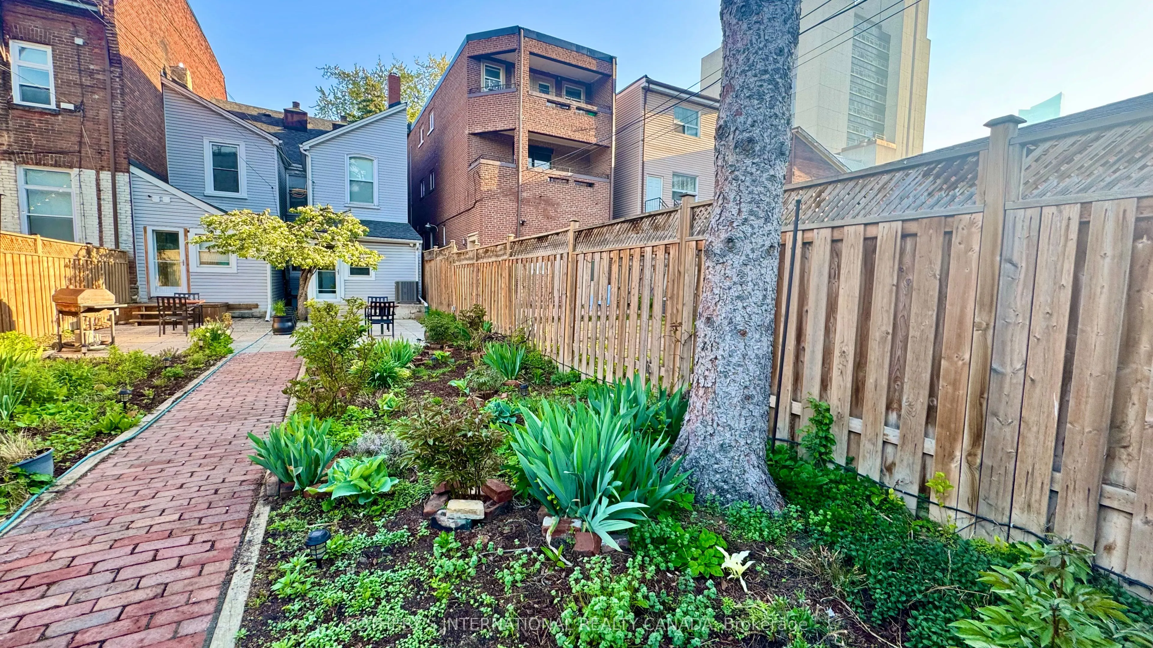 11 D'arcy Street