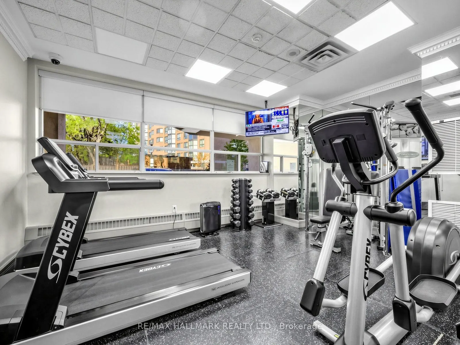 265 Ridley Boulevard #401