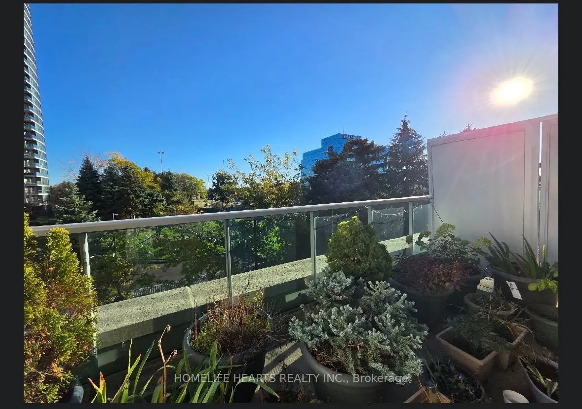 18 Harrison Garden Boulevard #210