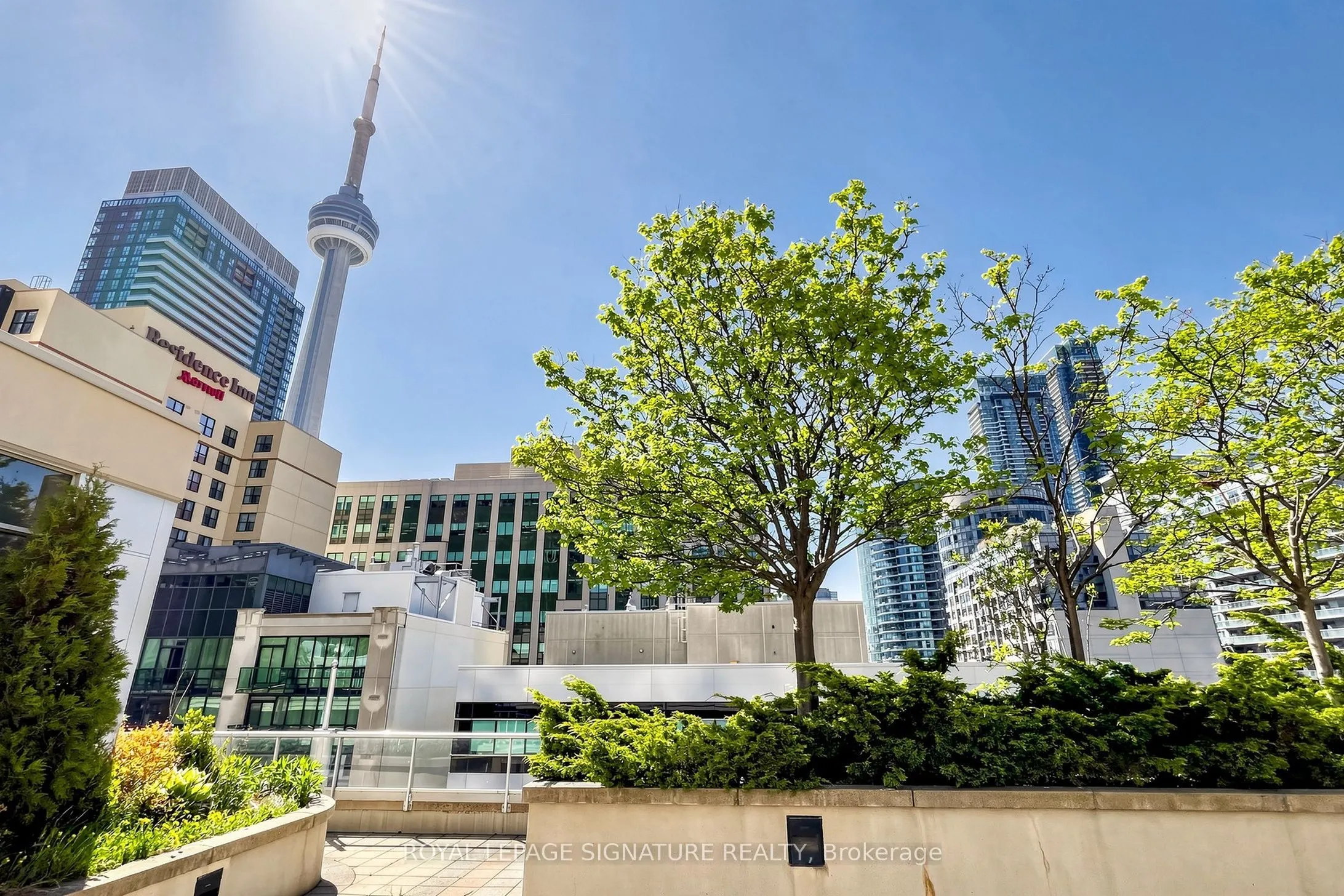 270 Wellington Street W #313