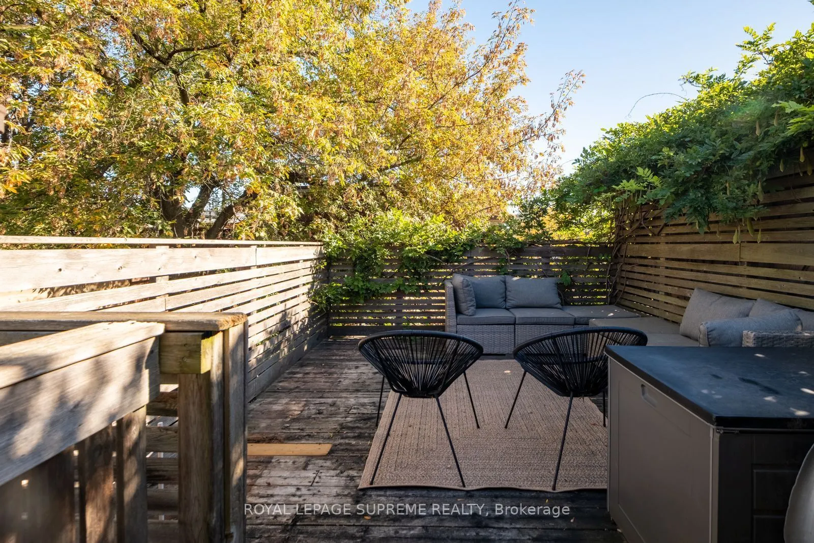 251 Crawford Street