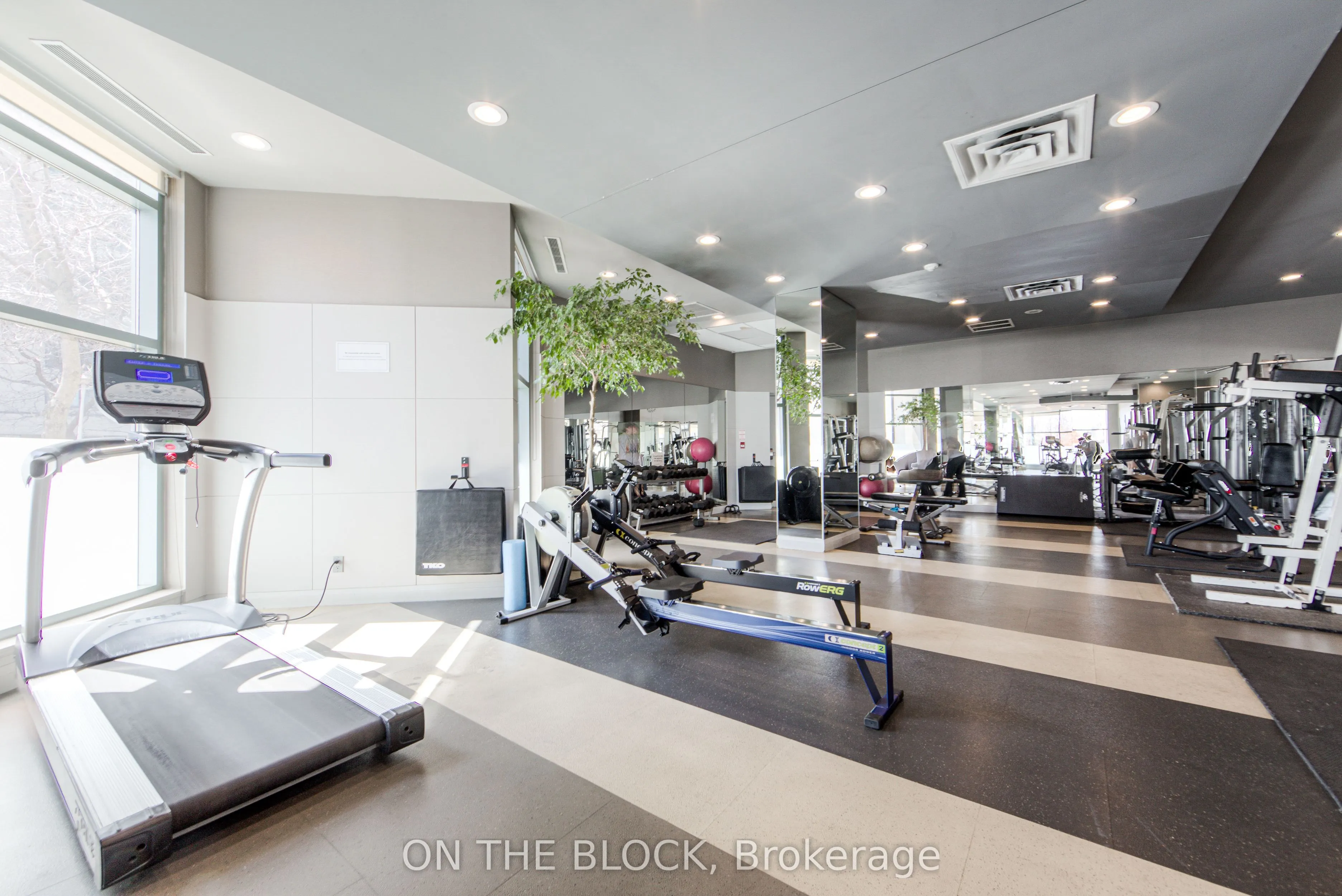 230 Queens Quay W #1515