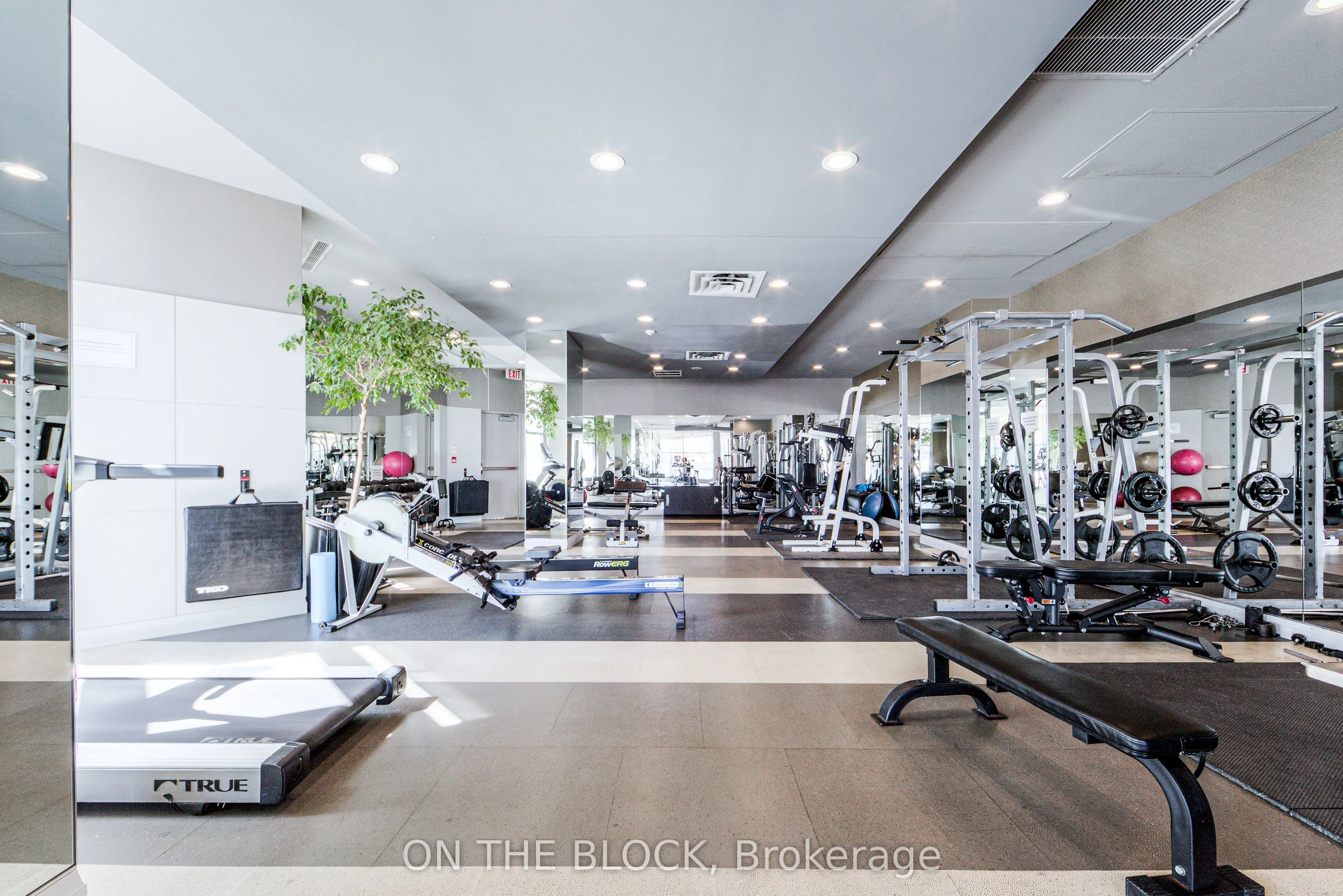 230 Queens Quay W #1515
