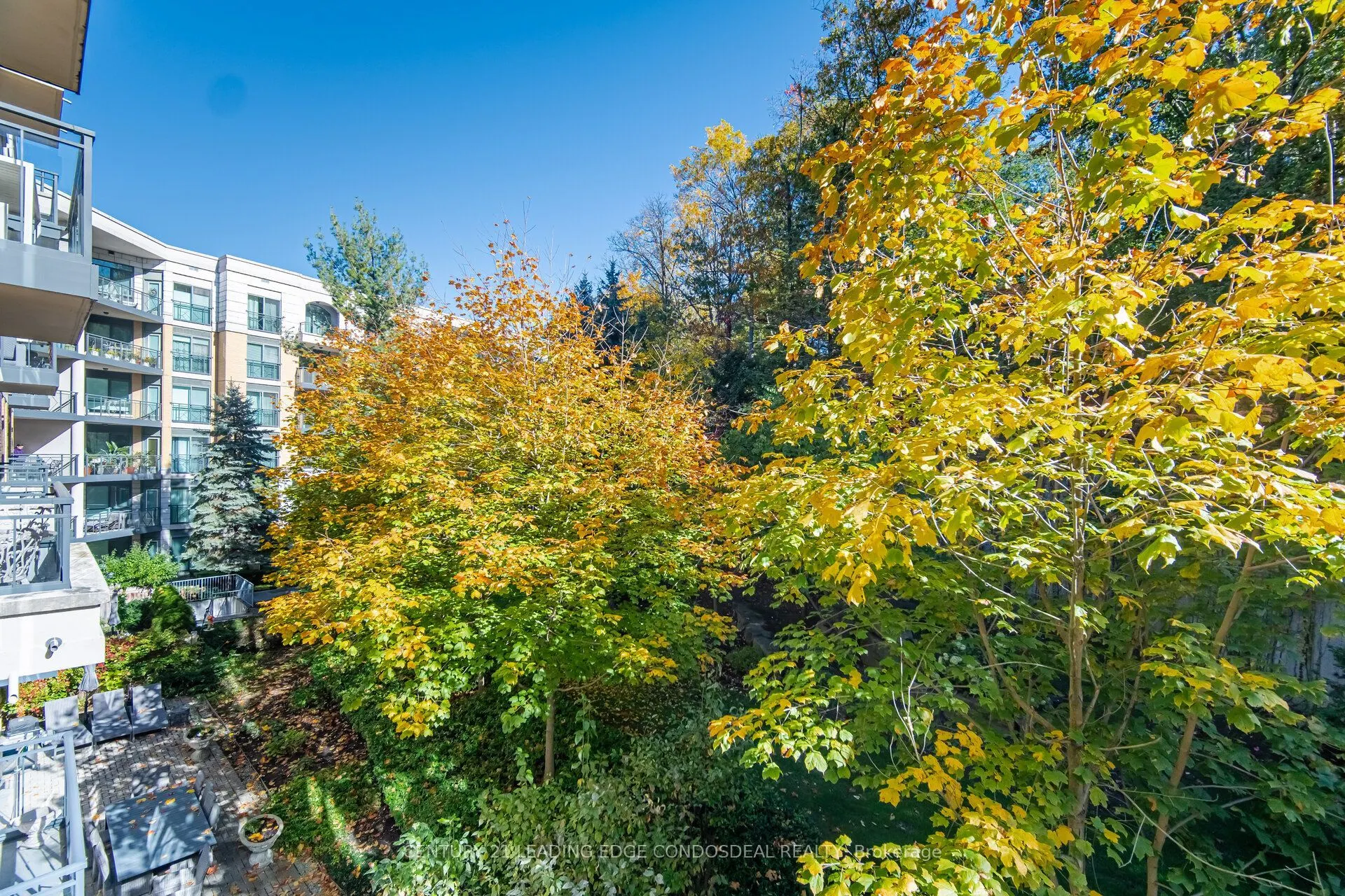 11 William Carson Crescent #322