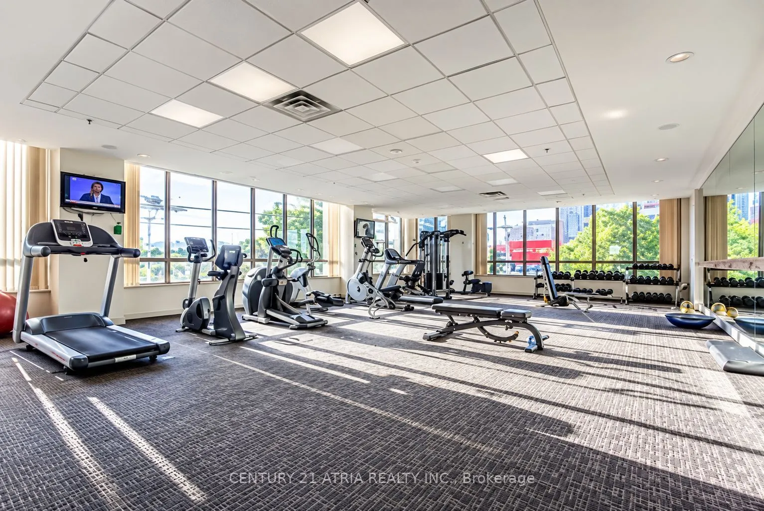 18 parkview Avenue #1115
