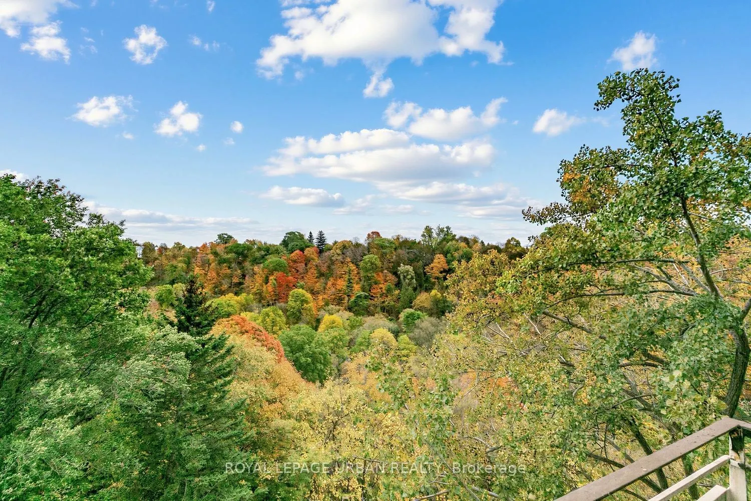 60 Pavane Linkway #403