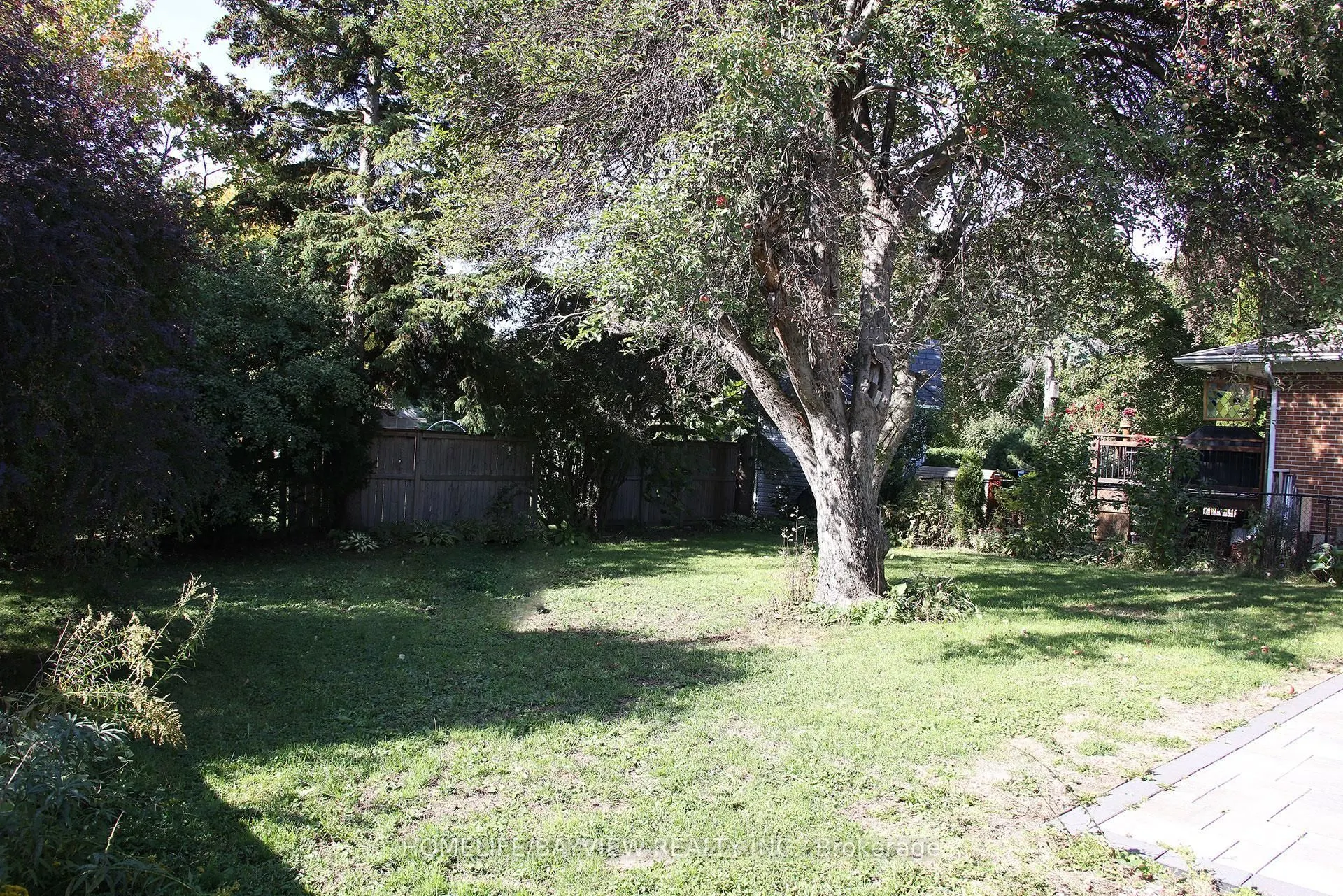 159 Yorkview Drive #BSMNT2