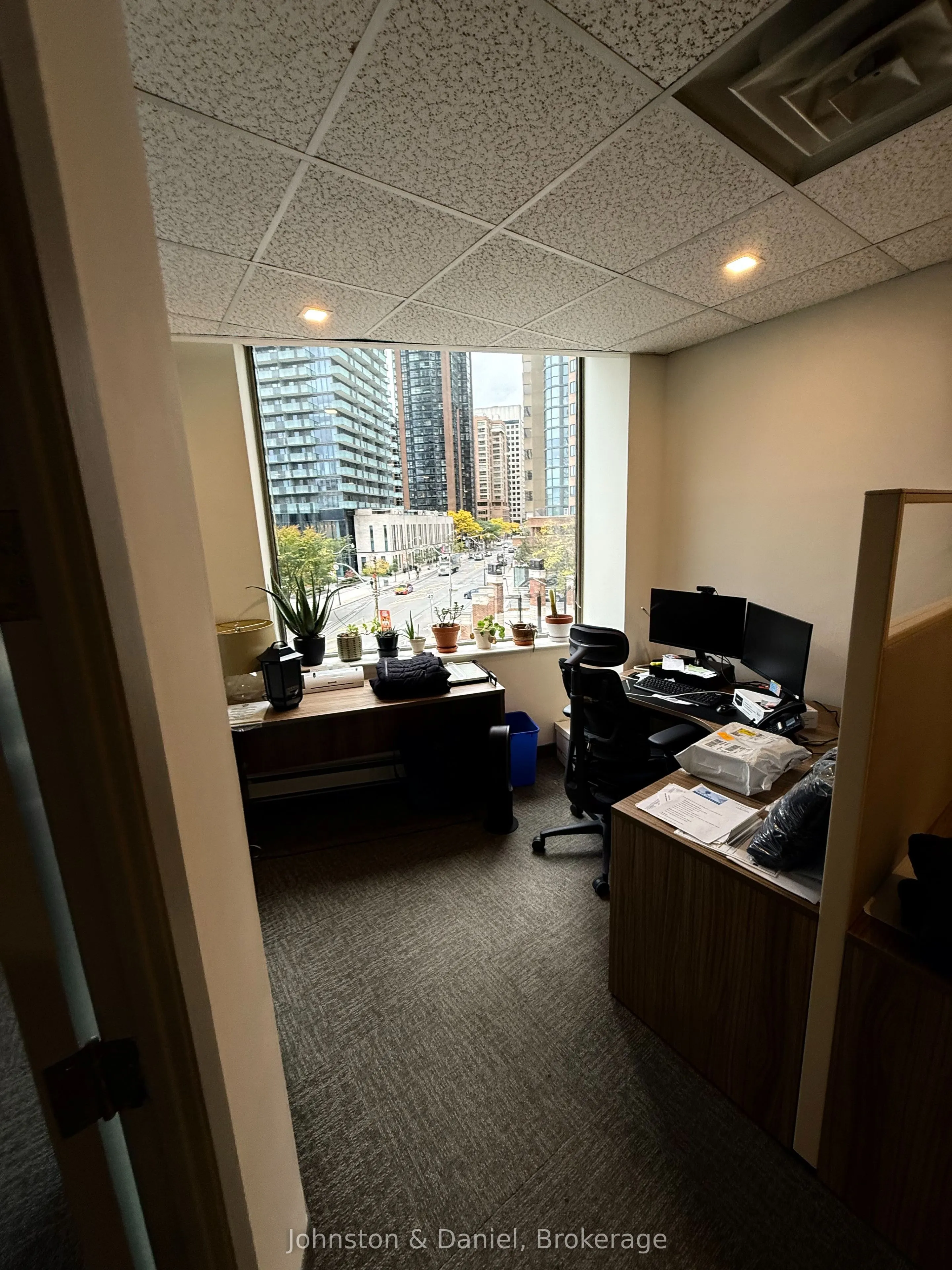 1033 Bay Street #312