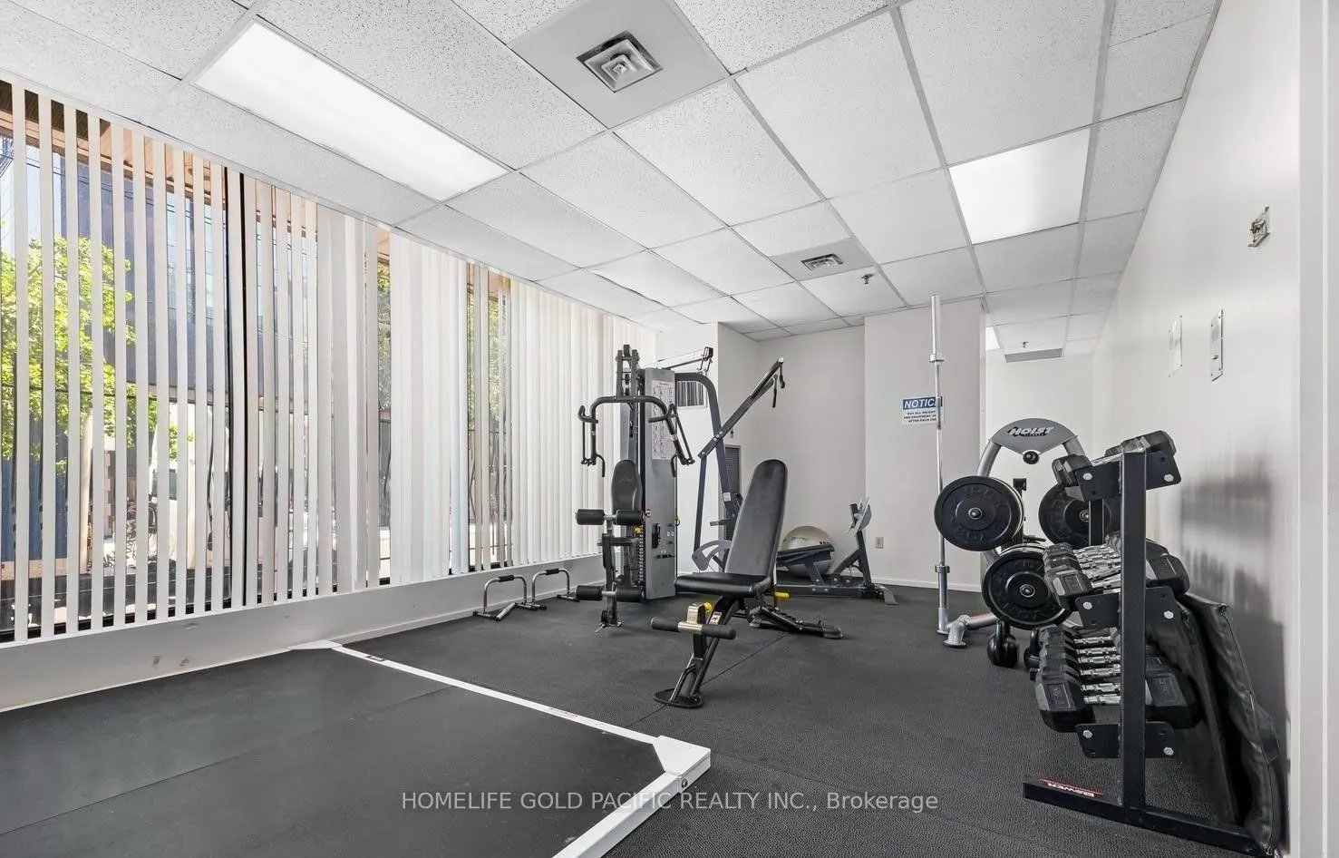 117 Gerrard Street E #207