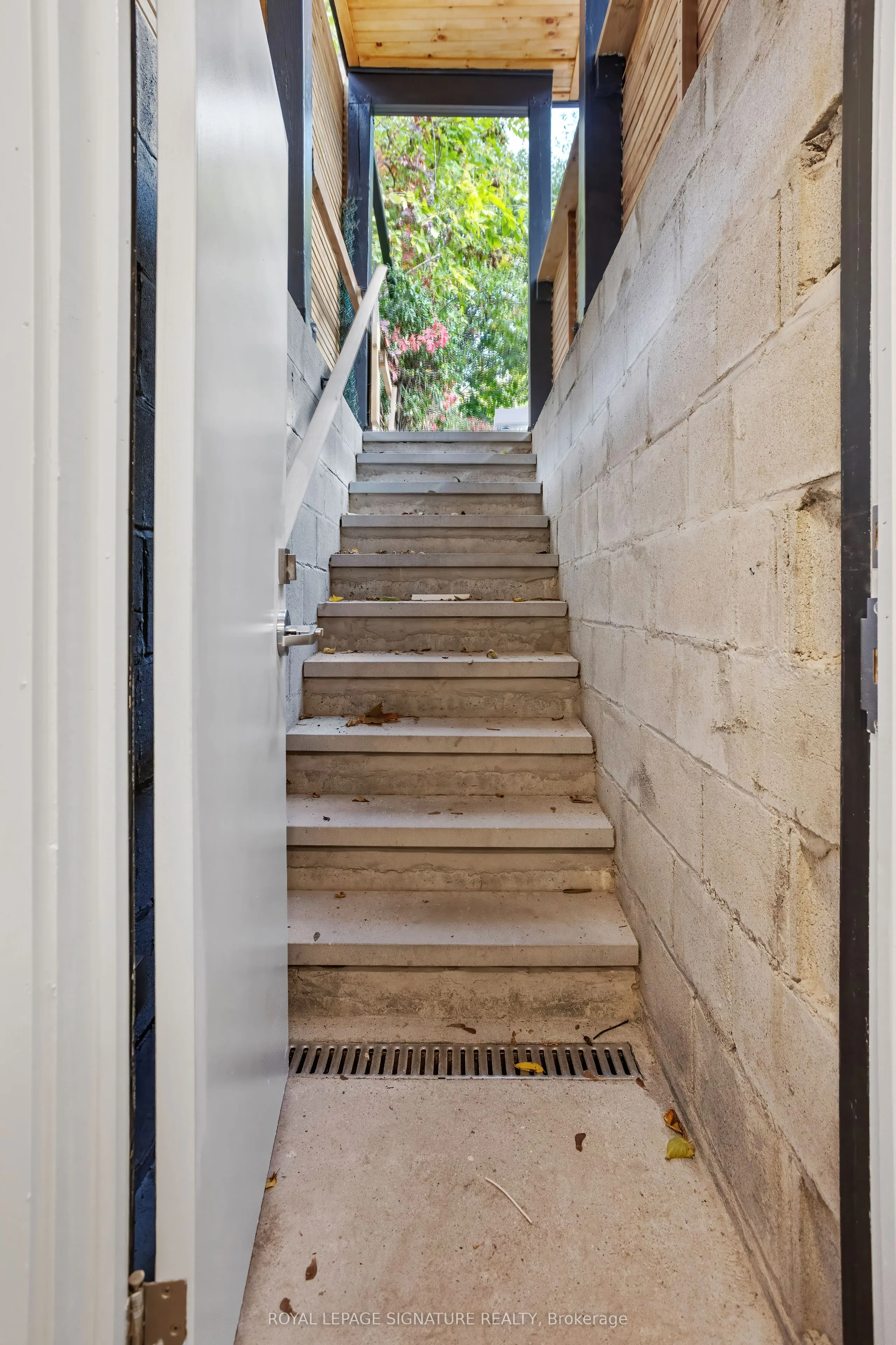 231 Havelock Street #Lower