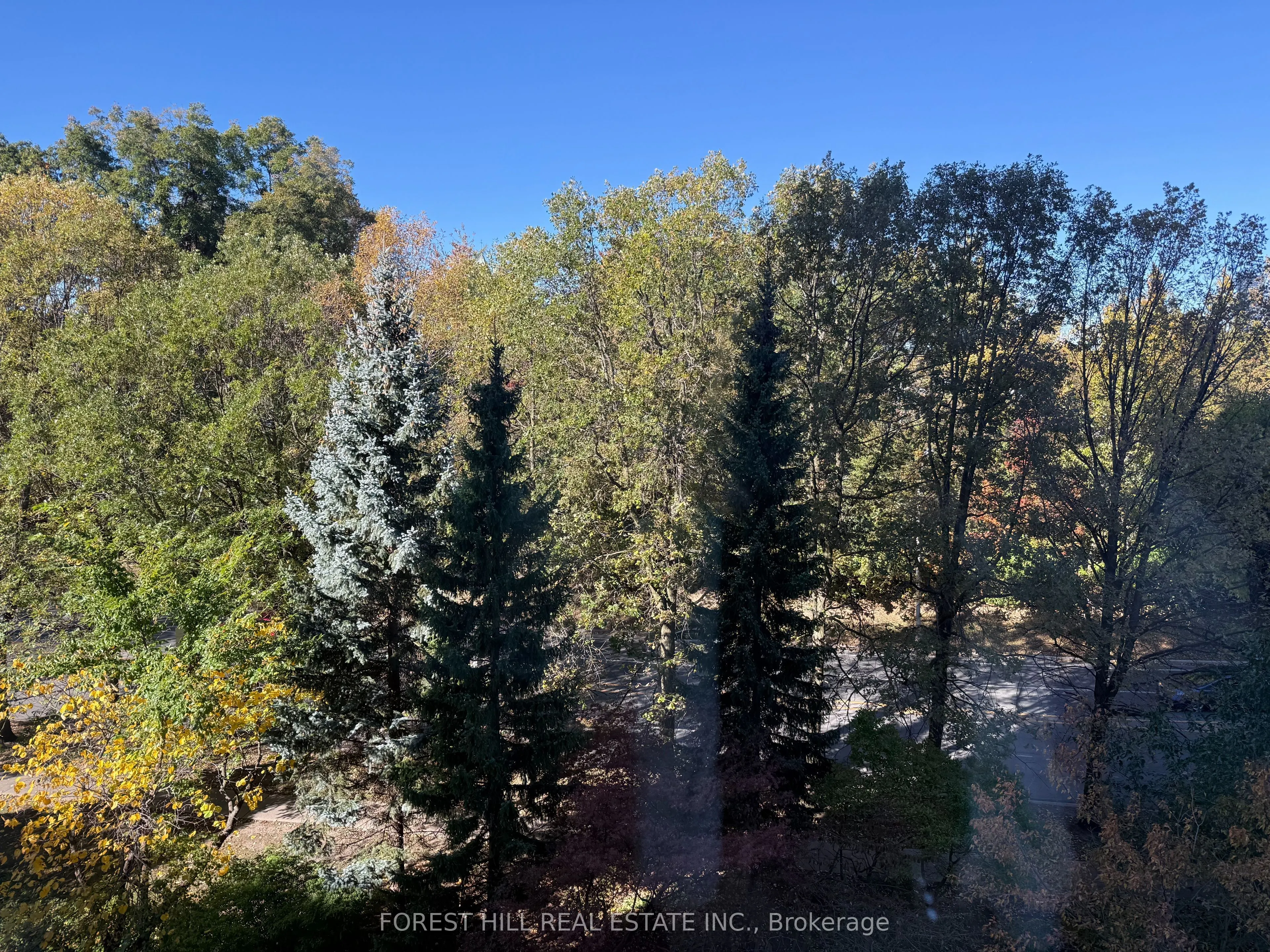 625 Avenue Road #503